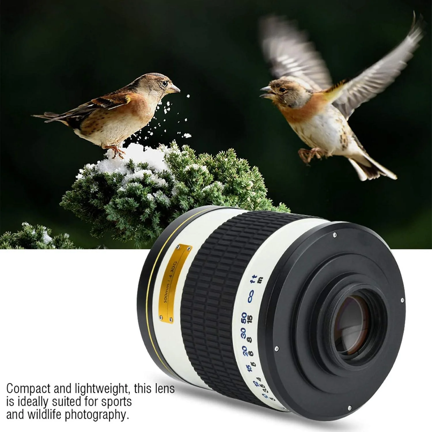 لنز تله فوتو آینه ای، لنز 500 میلی متری دستی قابل تعویض F/6.3 برای دوربین های بدون آینه (سفید، با T2 M4/3 برای Olympus Panasonic، مشکی) لنز تله فوتو آینه ای، لنز 500 میلی متری دستی قابل تعویض F/6.3 برای دوربین های بدون آینه (سفید، با T2 M4/3 برای Olympus Panasonic، مشکی)