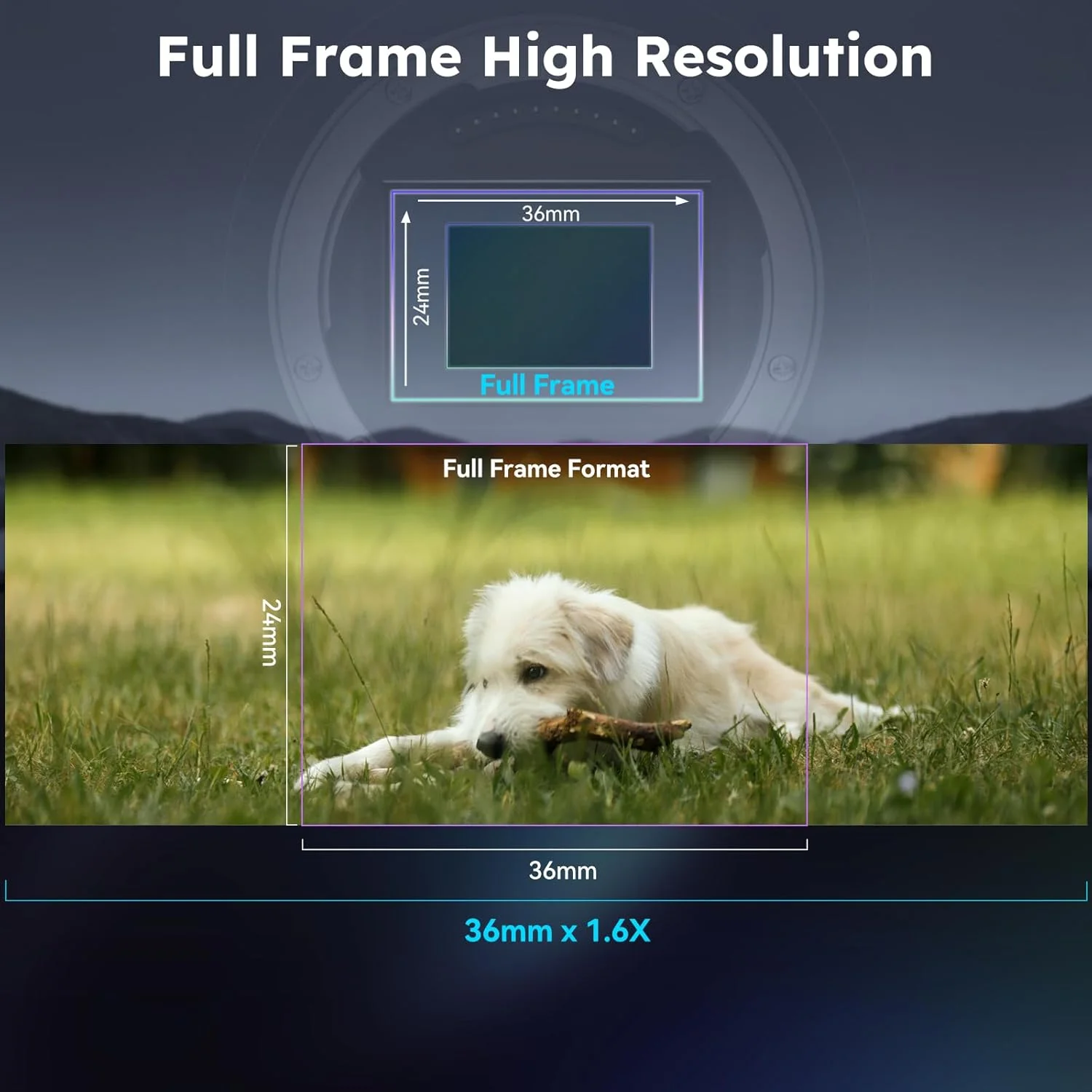 لنز آنامورفیک فول فریم SIRUI 150mm T2.9 1.6X، لنز سینمایی تله فوتو آنامورفیک (Venus 150mm مانت L) لنز آنامورفیک فول فریم SIRUI 150mm T2.9 1.6X، لنز سینمایی تله فوتو آنامورفیک (Venus 150mm مانت L)