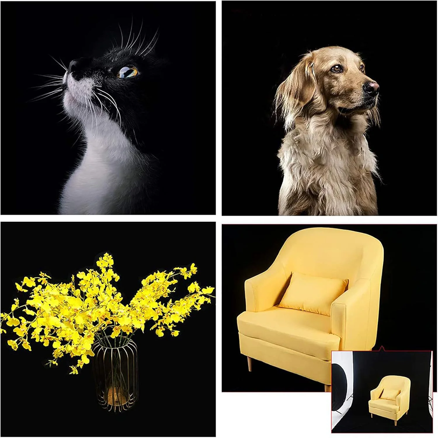 پرده پس زمینه مخملی مشکی Selens مناسب عکاسی، ابعاد 200x300 سانتی متر، مقاوم در برابر چروک، ایده آل برای استودیو، پرتره و فیلمبرداری پرده پس زمینه مخملی مشکی Selens مناسب عکاسی، ابعاد 200x300 سانتی متر، مقاوم در برابر چروک، ایده آل برای استودیو، پرتره و فیلمبرداری