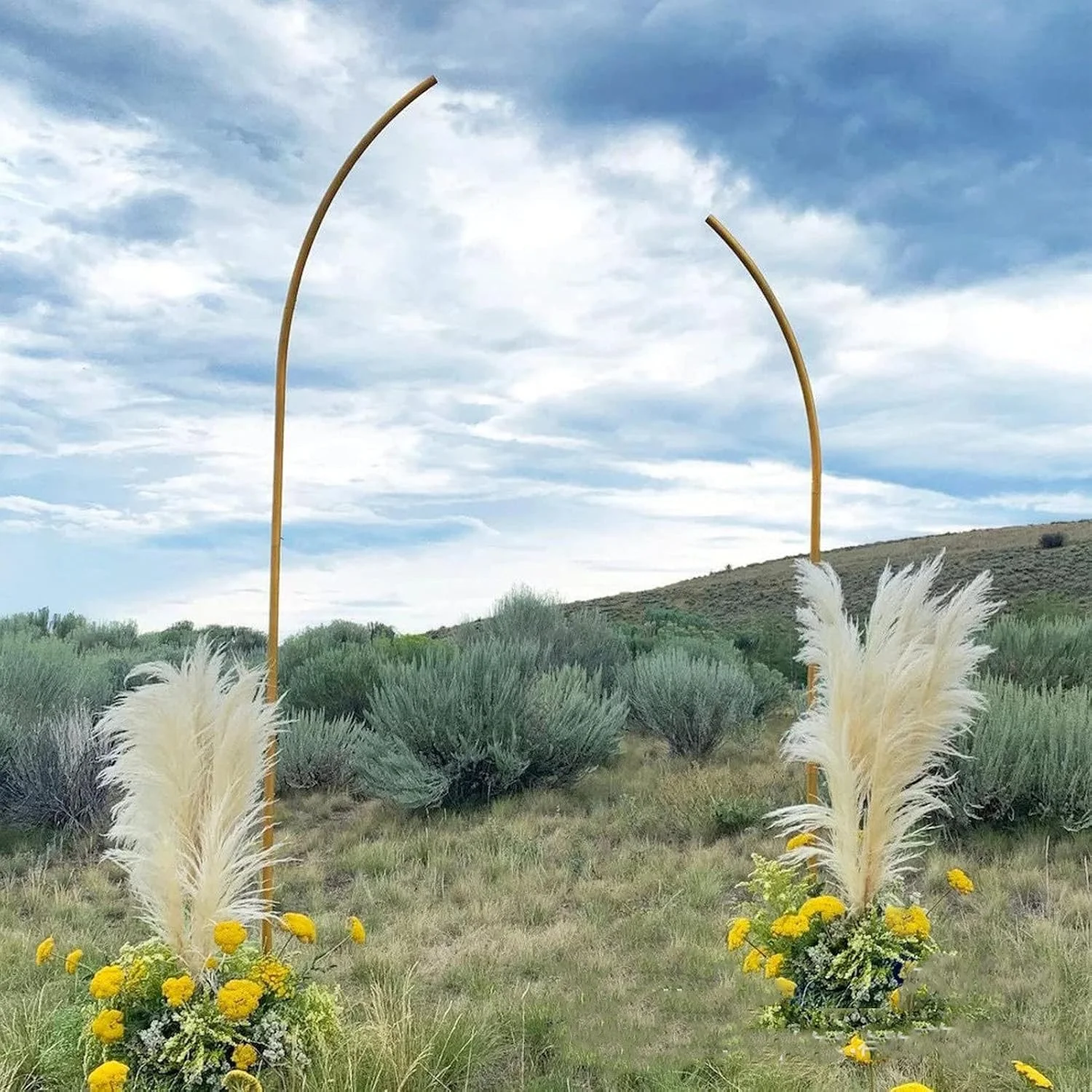 استند پس زمینه طاق دار 2 عددی - 2.5 متر و 2.1 متر، مونتاژ آسان استند طاق فلزی برای گیاهان رونده باغی فضای باز/داخلی و دکوراسیون مراسم عروسی/تولد/فارغ التحصیلی، سفید