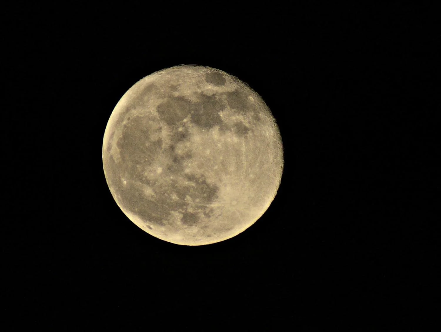 لنز تله فوتو 500mm/1000mm دستی با دیافراگم f/8 برای دوربین های نیکون D5600 D5500 D5300 D5200 D5100 D3500 D3400 D3X D3300 D3100 D3200 D7500 D7200 D7000 D7100 D750 D90 D850 لنز تله فوتو 500mm/1000mm دستی با دیافراگم f/8 برای دوربین های نیکون D5600 D5500 D5300 D5200 D5100 D3500 D3400 D3X D3300 D3100 D3200 D7500 D7200 D7000 D7100 D750 D90 D850