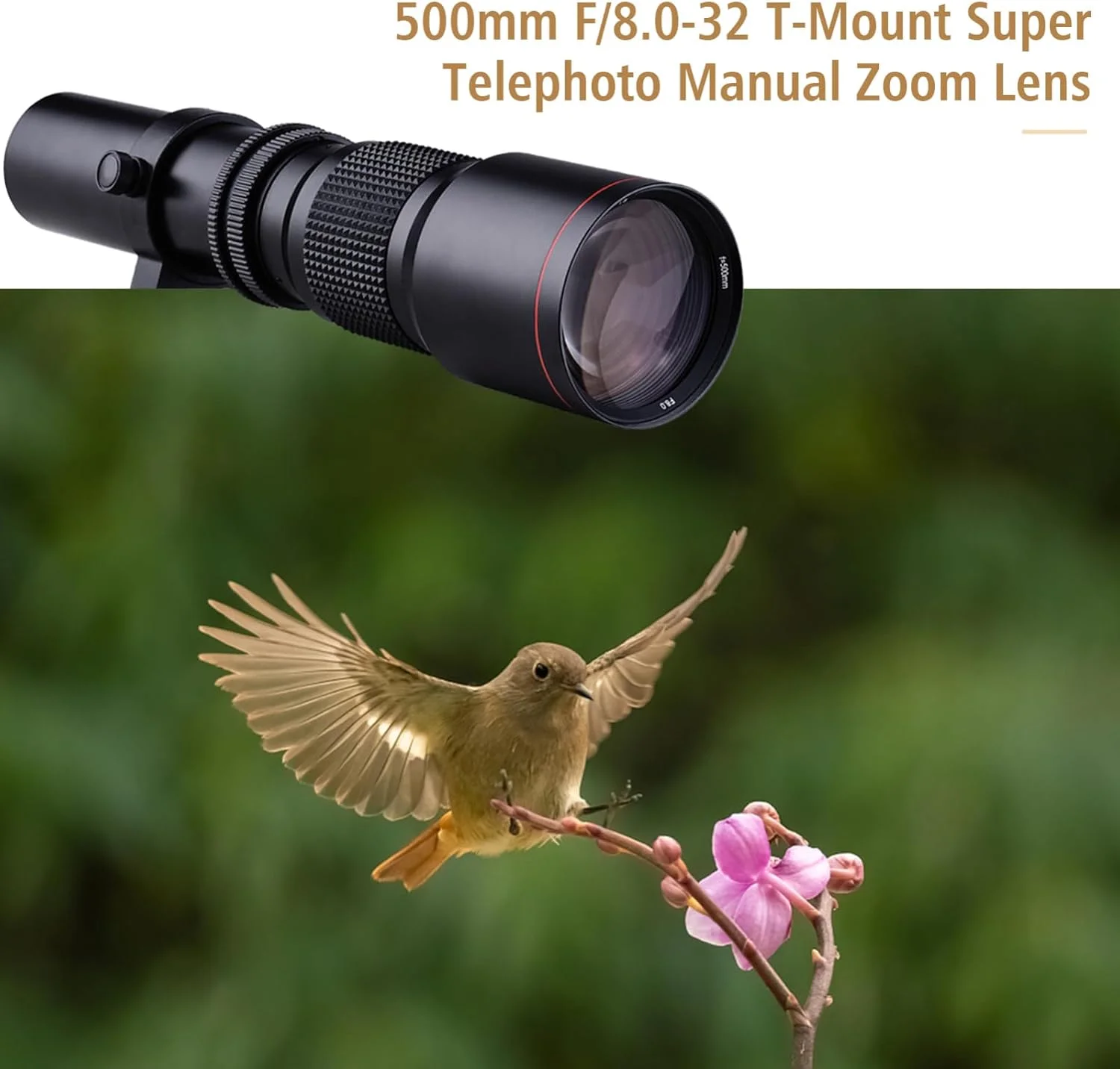 لنز سوپر تله فوتو 500 میلی متری Labymos با پوشش چند لایه، دیافراگم F/8.0-32 به همراه حلقه آداپتور T-Mount به EF-Mount جایگزین برای دوربین های EOS Rebel T3 T3i T4i T5 T5i T6 T6i T6s T7 T7i SL1 SL2 6D 7D 60D 70D 77D 80D 5D II