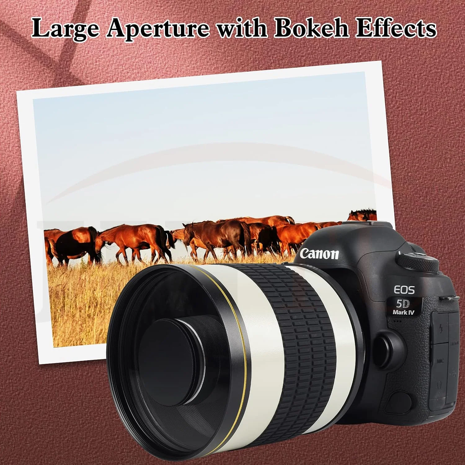 لنز آینه‌ای تله فوتو 500mm f/6.3 MF + تله کانورتور 2x = 1000mm برای دوربین‌های DSLR نیکون، کانن، سونی و دوربین‌های بدون آینه ماکرو 4/3 (Olympuss)