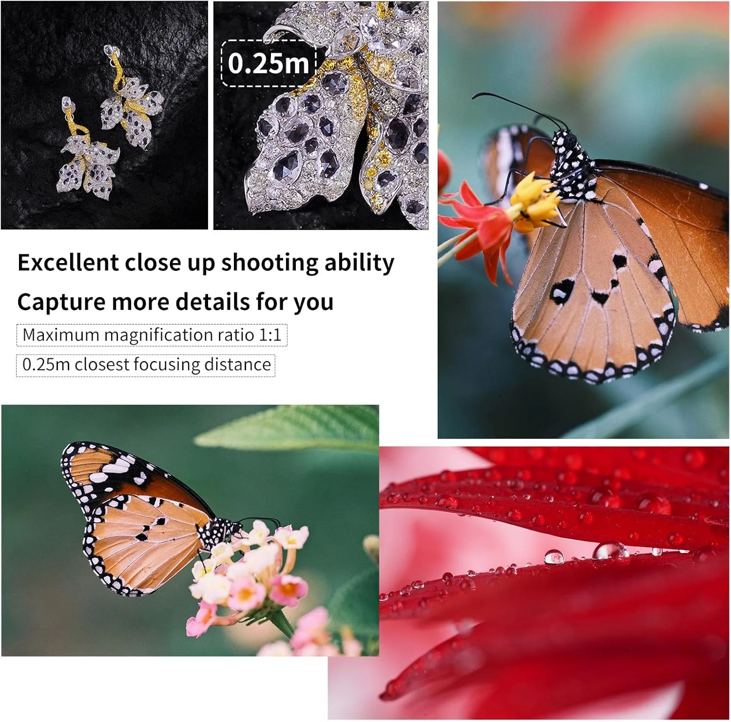 لنز مدیوم فول فرمت دستی 3 در 1 AstrHori 85mm F2.8 ماکرو، تیلت و تله فوتو، مناسب برای عکاسی از حشرات، جواهرات و پرتره، برای دوربینهای بدون آینه با مانت Canon RF مدلهای EOS RP, EOS R5, EOS R6 و غیره لنز مدیوم فول فرمت دستی 3 در 1 AstrHori 85mm F2.8 ماکرو، تیلت و تله فوتو، مناسب برای عکاسی از حشرات، جواهرات و پرتره، برای دوربینهای بدون آینه با مانت Canon RF مدلهای EOS RP, EOS R5, EOS R6 و غیره