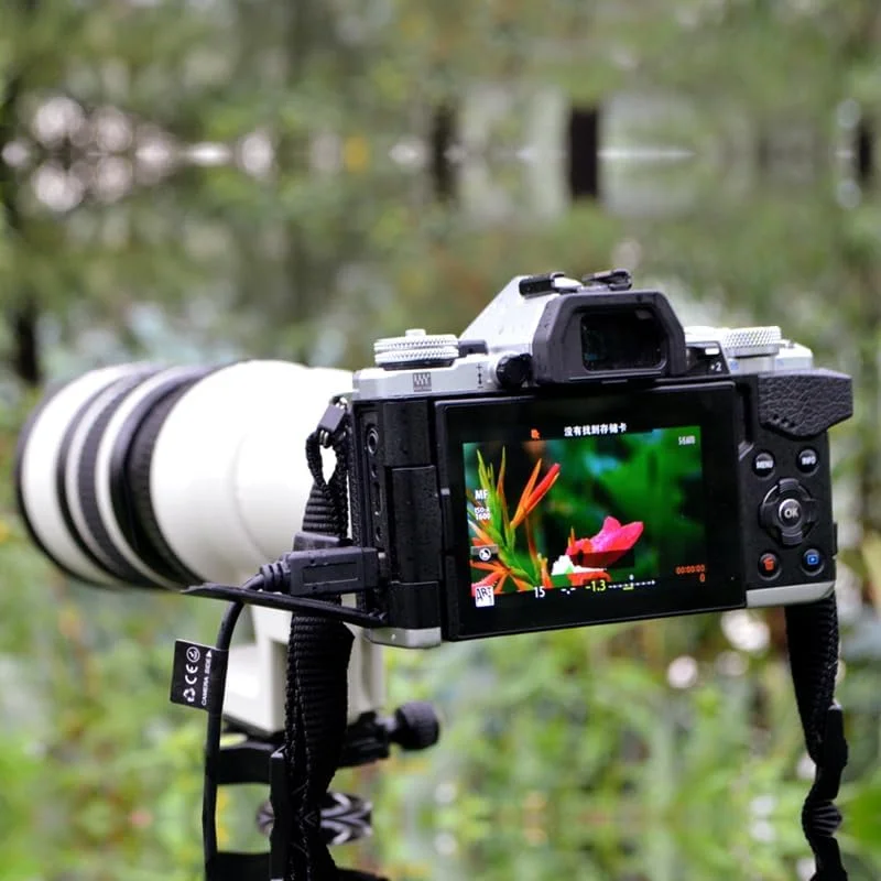 لنز تله فوتو 500mm F6.3 سفید رنگ Lightdow به همراه حلقه آداپتور برای دوربین های DSLR کانن، نیکون، سونی و پنتاکس (Canon RF) لنز تله فوتو 500mm F6.3 سفید رنگ Lightdow به همراه حلقه آداپتور برای دوربین های DSLR کانن، نیکون، سونی و پنتاکس (Canon RF)