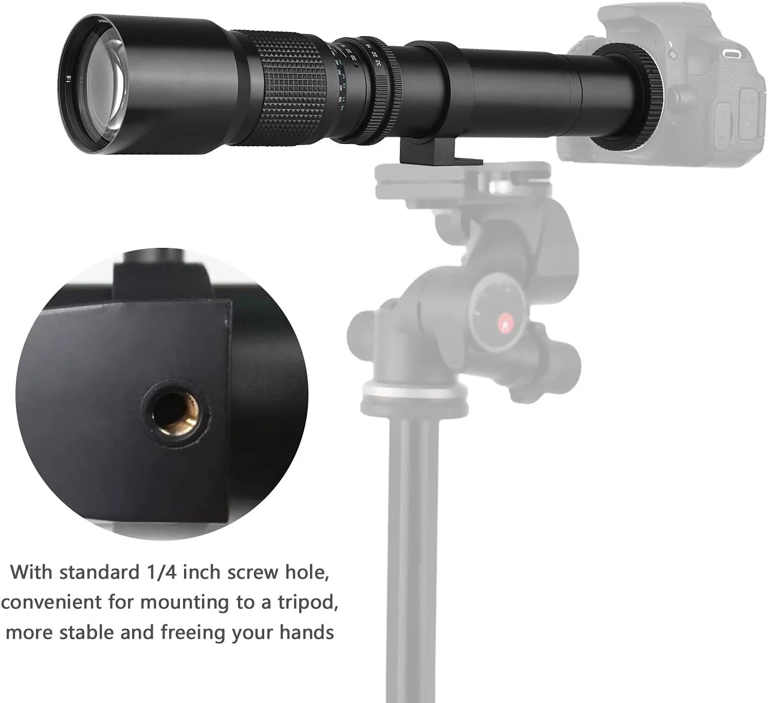 لنز تله فوتو 500mm/1000mm f/8 دستی به همراه مبدل 2X، درپوش لنز و کیف حمل لنز برای دوربین های Canon EOS 80D EOS 90D Rebel T3 T3i T5i T6i T6s T7 T8I SL3 EOS 60D EOS 5D EOS 5D IV EOS 6D II EOS 7D II لنز تله فوتو 500mm/1000mm f/8 دستی به همراه مبدل 2X، درپوش لنز و کیف حمل لنز برای دوربین های Canon EOS 80D EOS 90D Rebel T3 T3i T5i T6i T6s T7 T8I SL3 EOS 60D EOS 5D EOS 5D IV EOS 6D II EOS 7D II