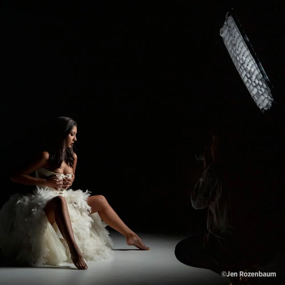 شبکه لانه زنبوری 40 درجه وستکات برای رپید باکس سوئیچ 2x3