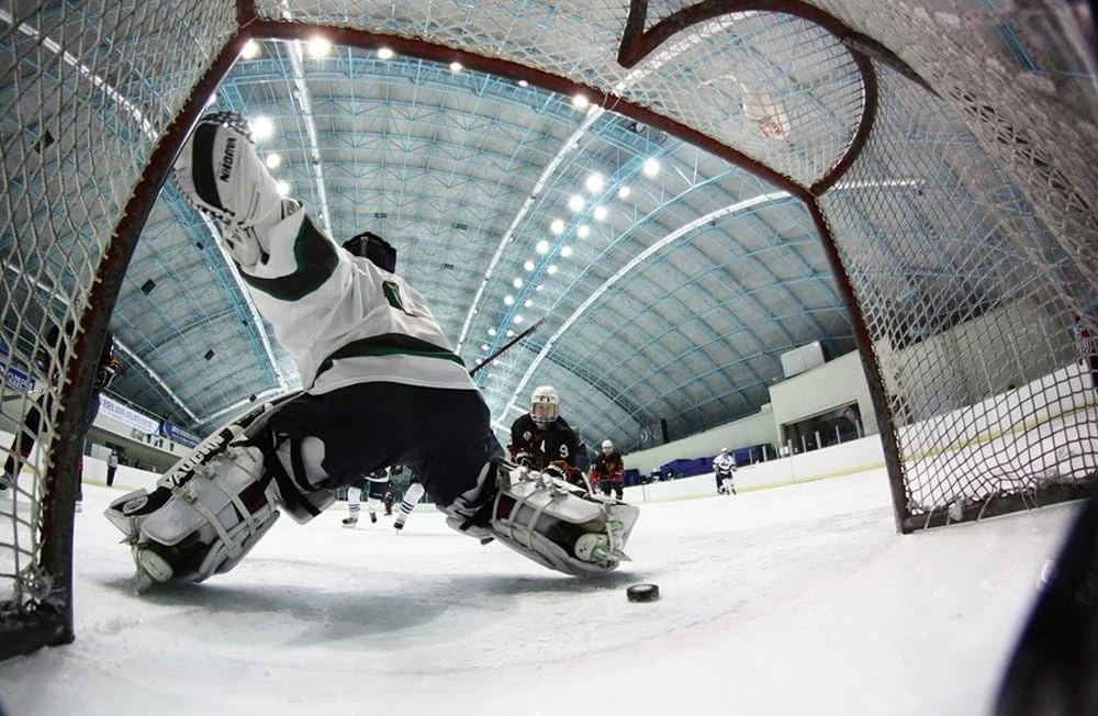 لنز چشم‌ماهی 8 میلی‌متری Rokinon FE8M-NEX با دیافراگم f/3.5 برای دوربین‌های Sony E-Mount (NEX و VG10)