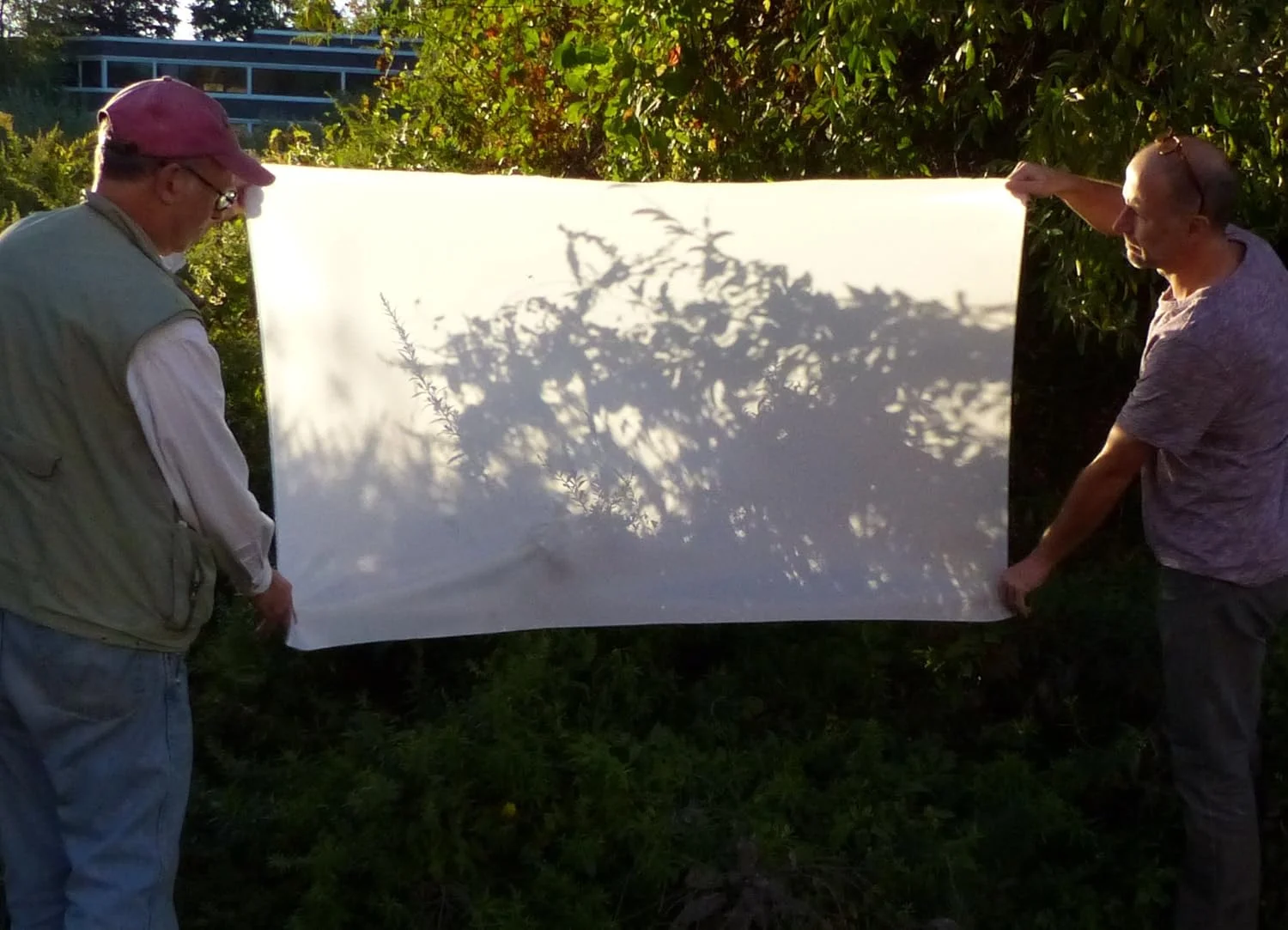 پارچه دیفیوزر دیجیتال ALZO، جنس نایلون ابریشمی سفید، طول 1 یارد، عرض 60 اینچ، لبه های پرداخت نشده، برش قیچی برای عکاسی، سافت باکس و لایت تنت