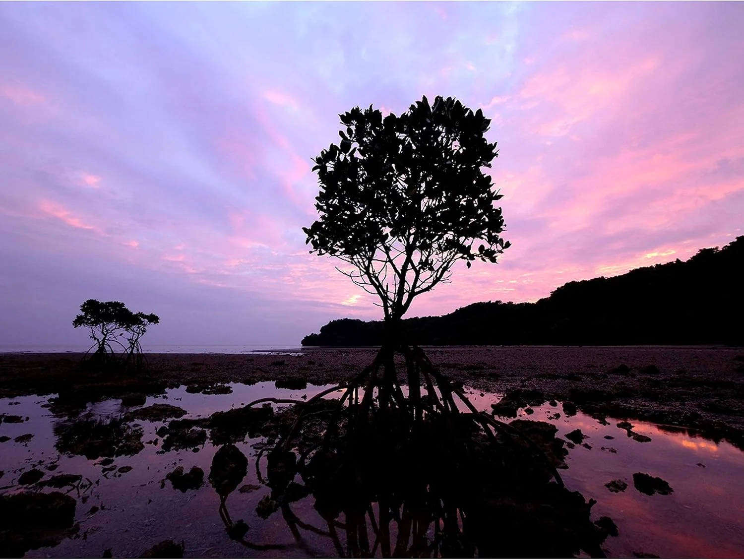 لنز پاناسونیک LUMIX G Vario با زاویه دید فوق عریض 7-14 میلیمتر F4.0 ASPH مدل H-F007014E (معادل 14-28 میلیمتر در قطع KB) - مشکی لنز پاناسونیک LUMIX G Vario با زاویه دید فوق عریض 7-14 میلیمتر F4.0 ASPH مدل H-F007014E (معادل 14-28 میلیمتر در قطع KB) - مشکی