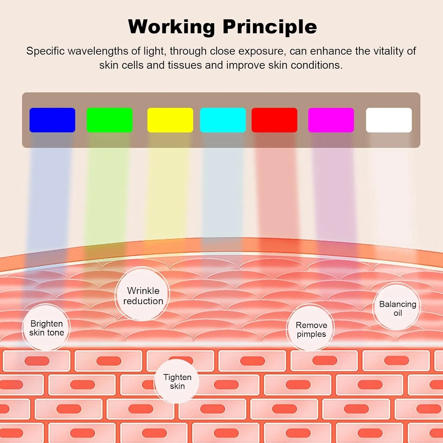 ماسک جوانسازی پوست ال ای دی 7 رنگ، دستگاه ال ای دی صورت 7 رنگ، دستگاه صورت ال ای دی 7 رنگ برای برس ها و دستگاه های پاک کننده صورت، دستگاه پوست برای خانه ماسک جوانسازی پوست ال ای دی 7 رنگ، دستگاه ال ای دی صورت 7 رنگ، دستگاه صورت ال ای دی 7 رنگ برای برس ها و دستگاه های پاک کننده صورت، دستگاه پوست برای خانه