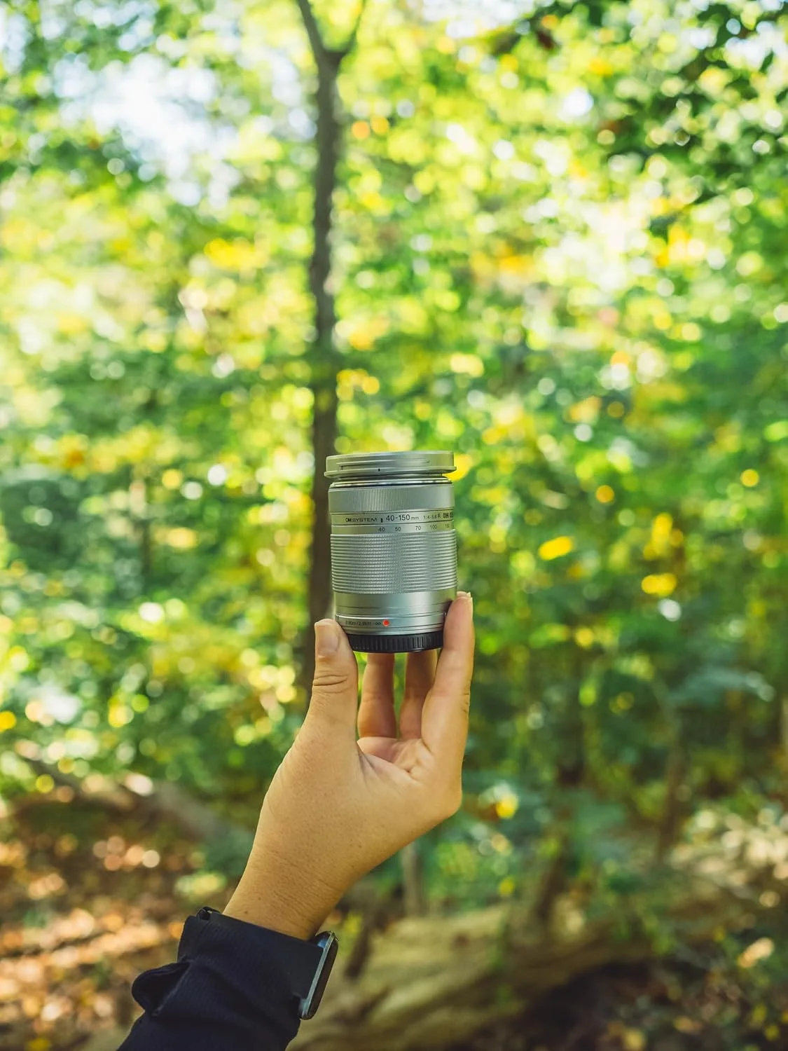 لنز زوم نقره ای OM SYSTEM Olympus M.Zuiko Digital 40-150mm F4.0-5.6 R برای دوربین های سیستم میکرو چهار سوم، لنز زوم 3.75x با طراحی قابل حمل