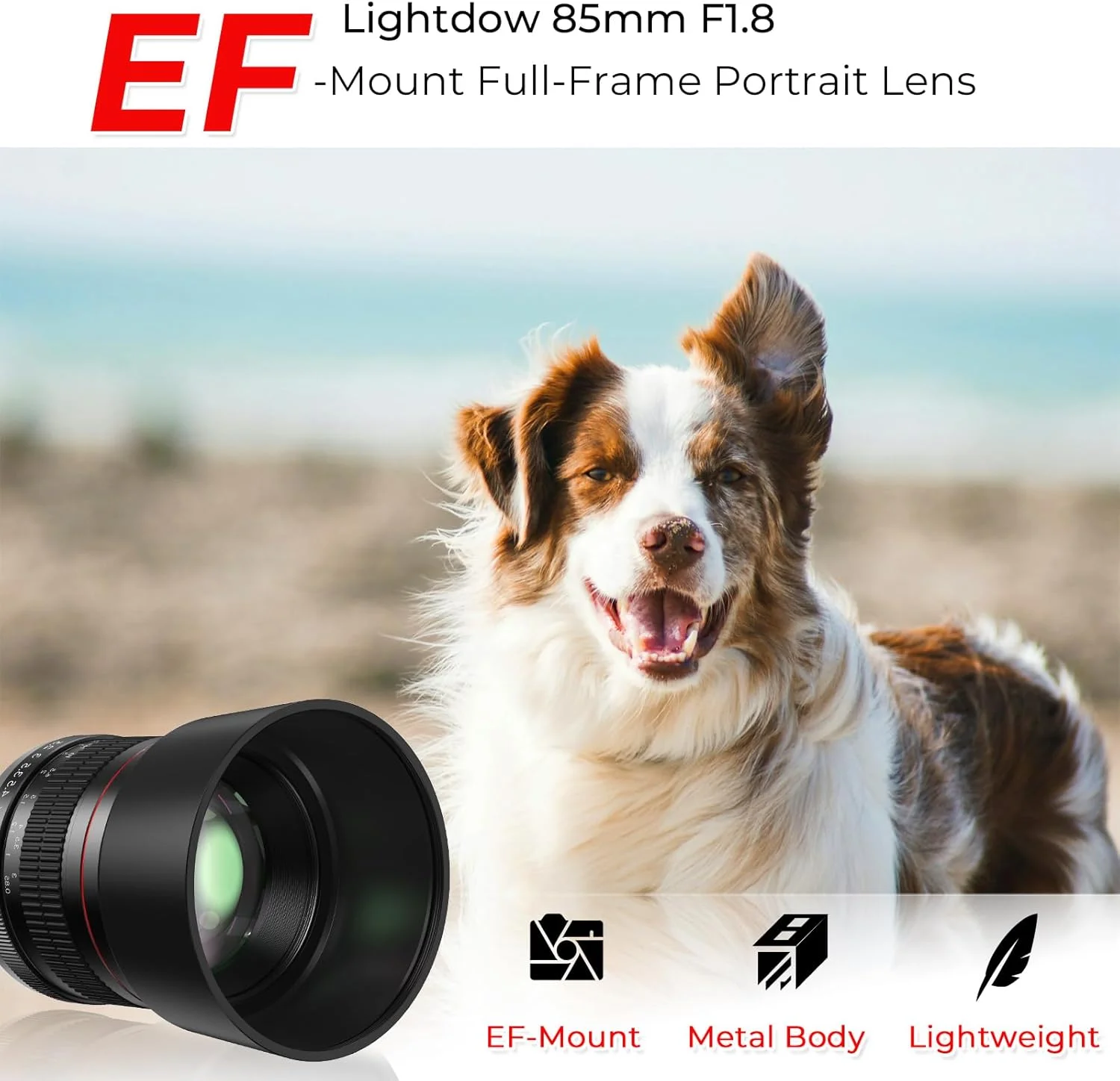 لنز پرتره Lightdow EF 85mm f1.8 - MF برای دوربین های Canon EOS Rebel T8i/T7i/T7/T6i/T5/T3i/T3/T2i/XSi/XS/SL3/SL2/T100/90D/80D/70D/50D/5D Mark IV/6D II/7D II/1D X III II - لنزهای دوربین های DSLR (EF/EF-S Mount)