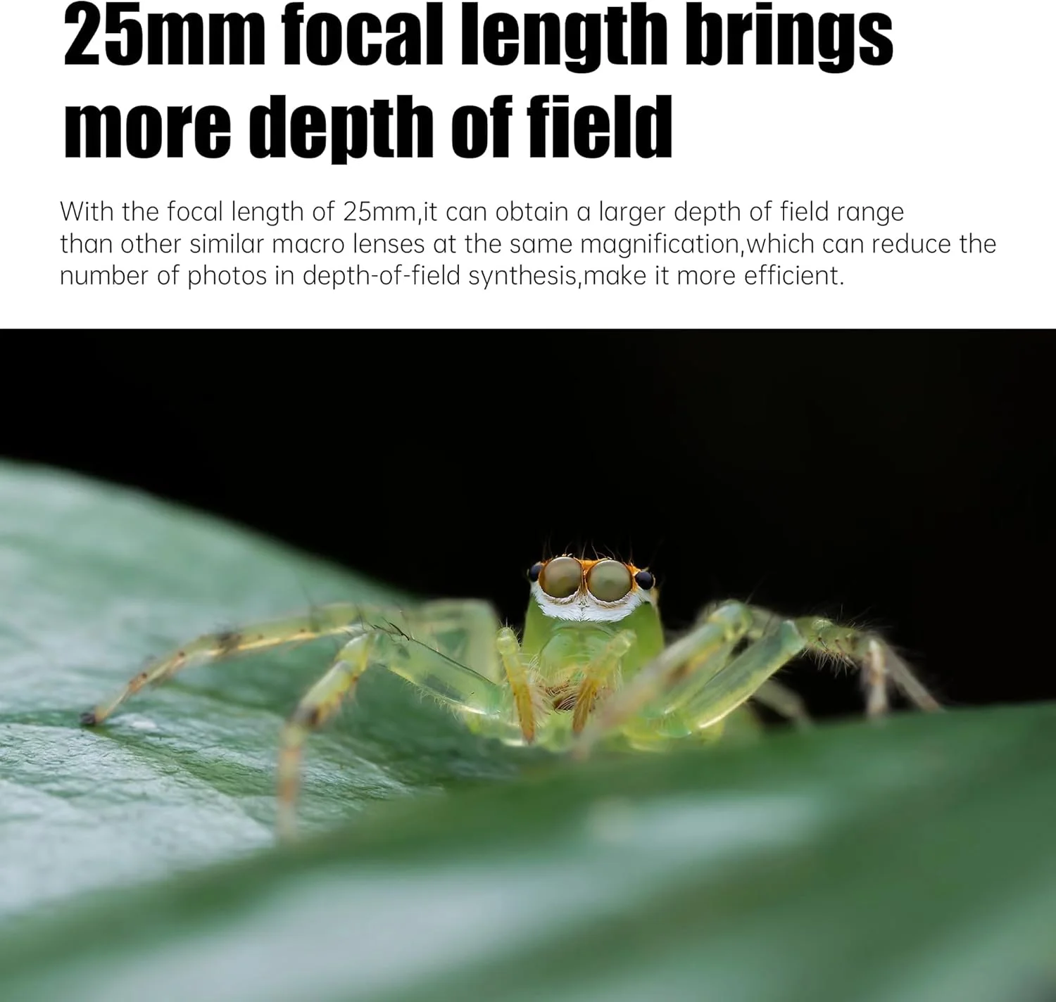 لنز ماکرو 25mm F2.8 با بزرگنمایی 2X-5X فول فریم با فوکوس دستی سازگار با دوربین های بدون آینه Canon با مانت RF مدل های EOSR, RP, R5, R5C, R6, R7, R10 و غیره