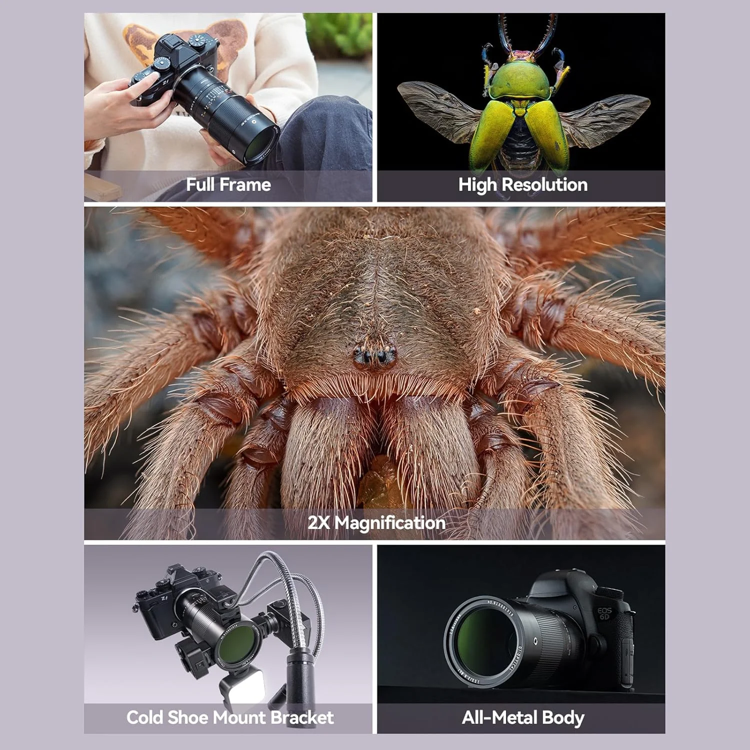 لنز دوربین ماکرو TTARTISAN 100mm F2.8 2X با مانت Nikon Z، لنز فوکوس دستی با فرمت کامل برای عکاسی مینیاتوری