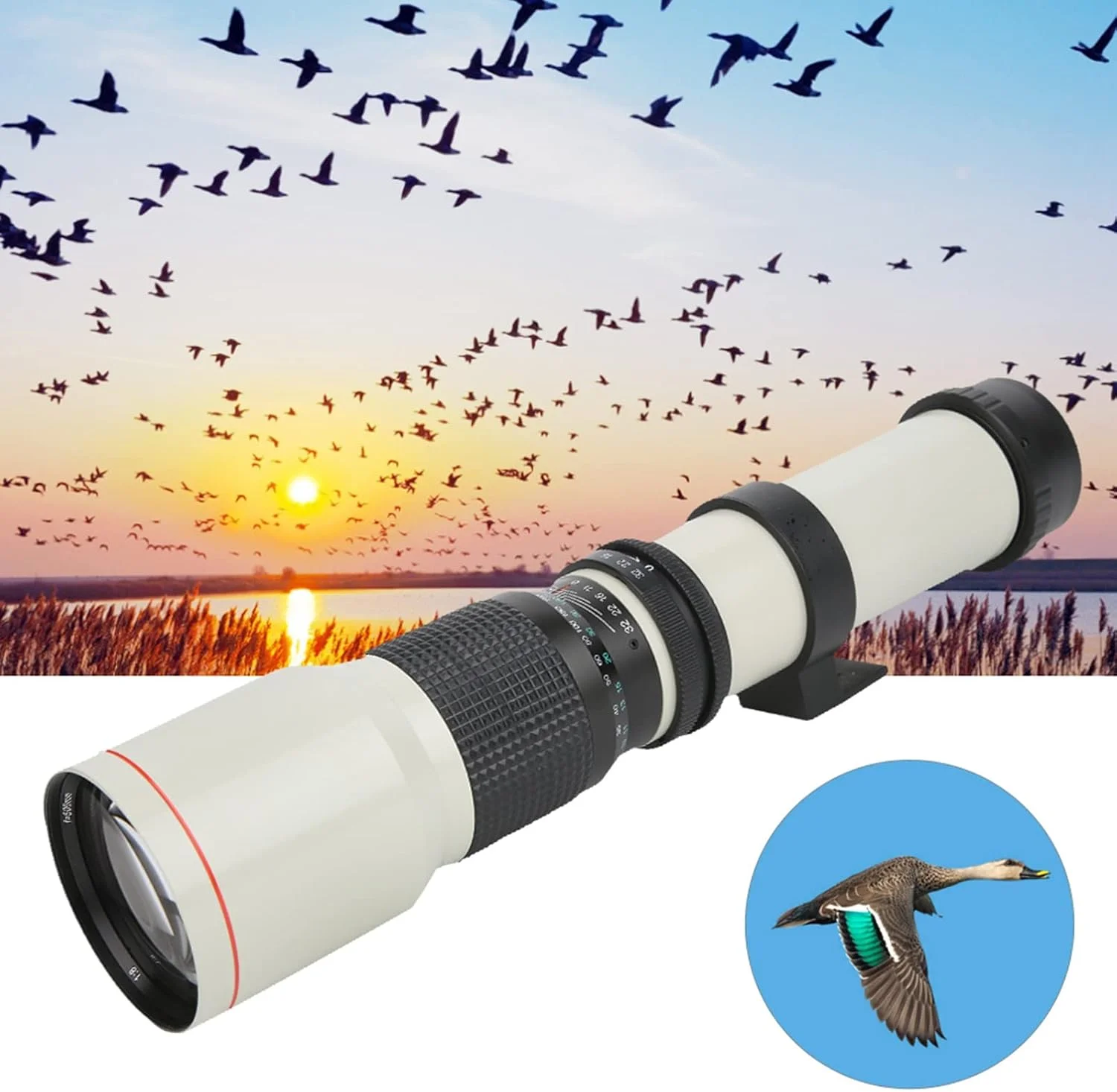 لنز تله فوتو 500 میلی‌متری، لنز تله فوتو دستی با قدرت بالا برای عکاسی از راه دور، منظره دوربین نصب در فضای باز، قطعات دوربین SLR