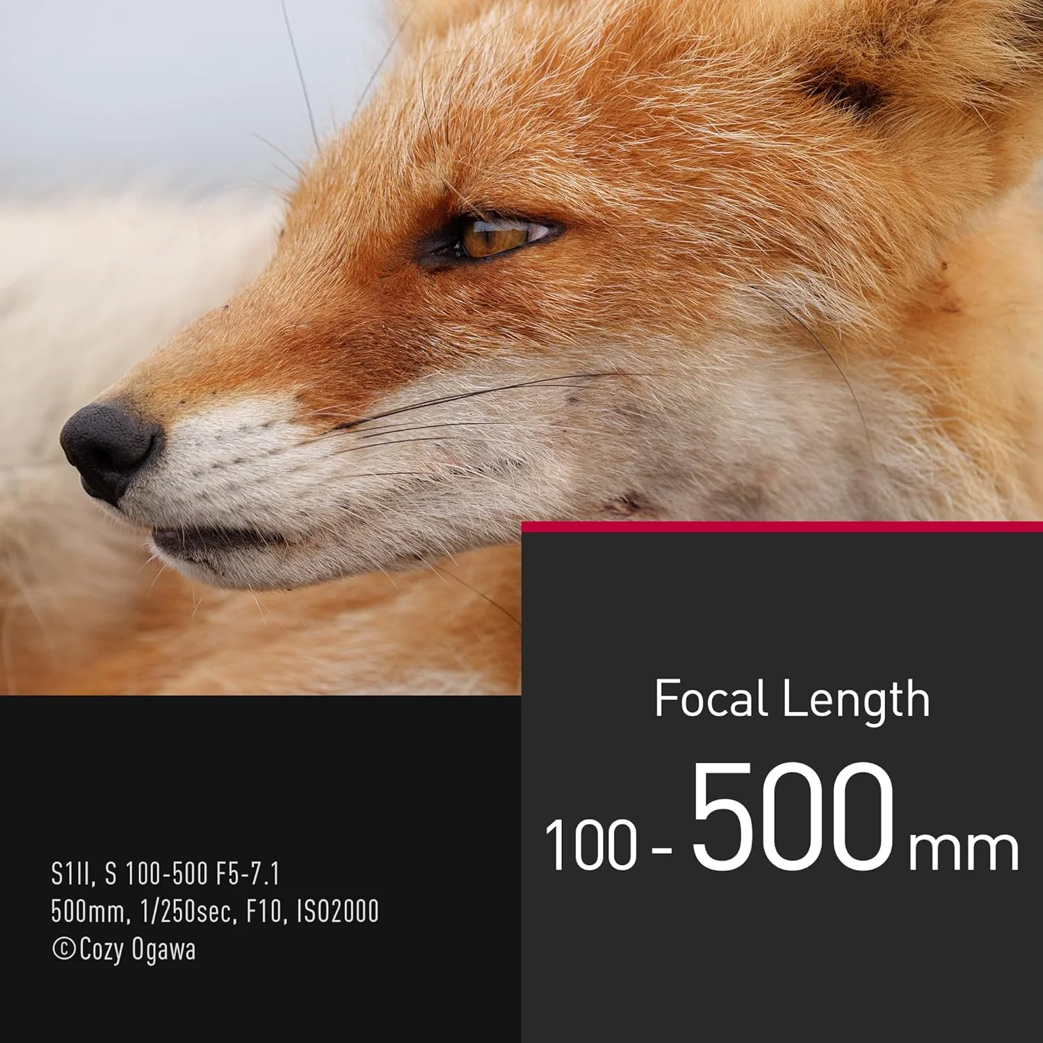 لنز پاناسونیک LUMIX S-R100500E 100-500mm F5-7.1 O.I.S. با مانت L، زوم تله فوتو فول فریم، کمترین فاصله فوکوس 0.8 متر، حلقه فوکوس قابل تنظیم، مقاوم در برابر شرایط جوی، مشکی