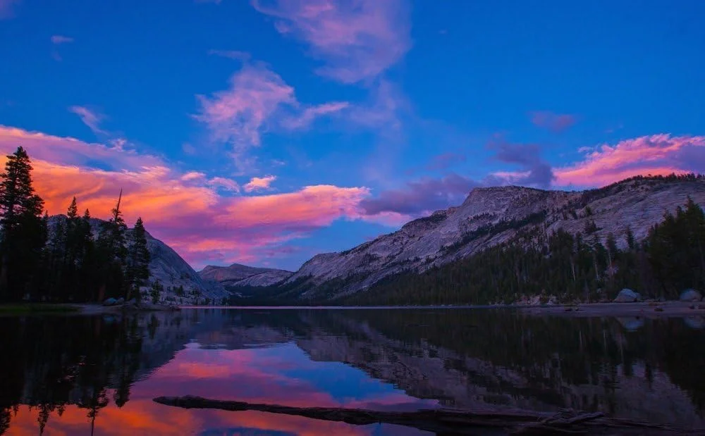 لنز ثابت فوق عریض 12 میلی‌متری Rokinon Rk12M-M F2.0 Ncs Cs برای دوربین‌های سیستم کامپکت با مانت Canon Ef-M (مشکی)