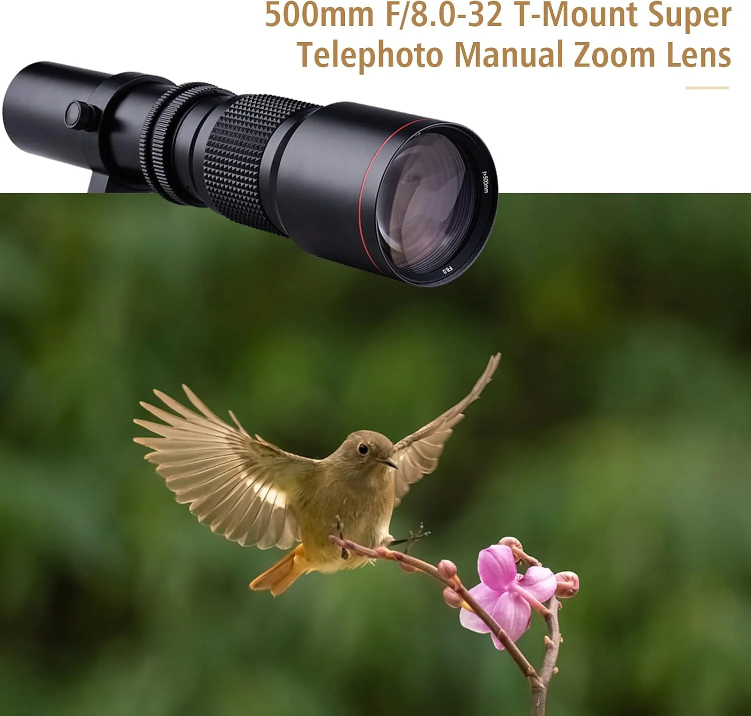 لنز سوپر تله فوتو دوربین OUNA 500mm F/8.0-32 زوم دستی با مانت T + لنز تله کانورتور 2X 500mm + حلقه آداپتور T2-AI جایگزین برای D850 D810 D800 D750 D700 D610 D300 D3100 D3200 D3300 D3400