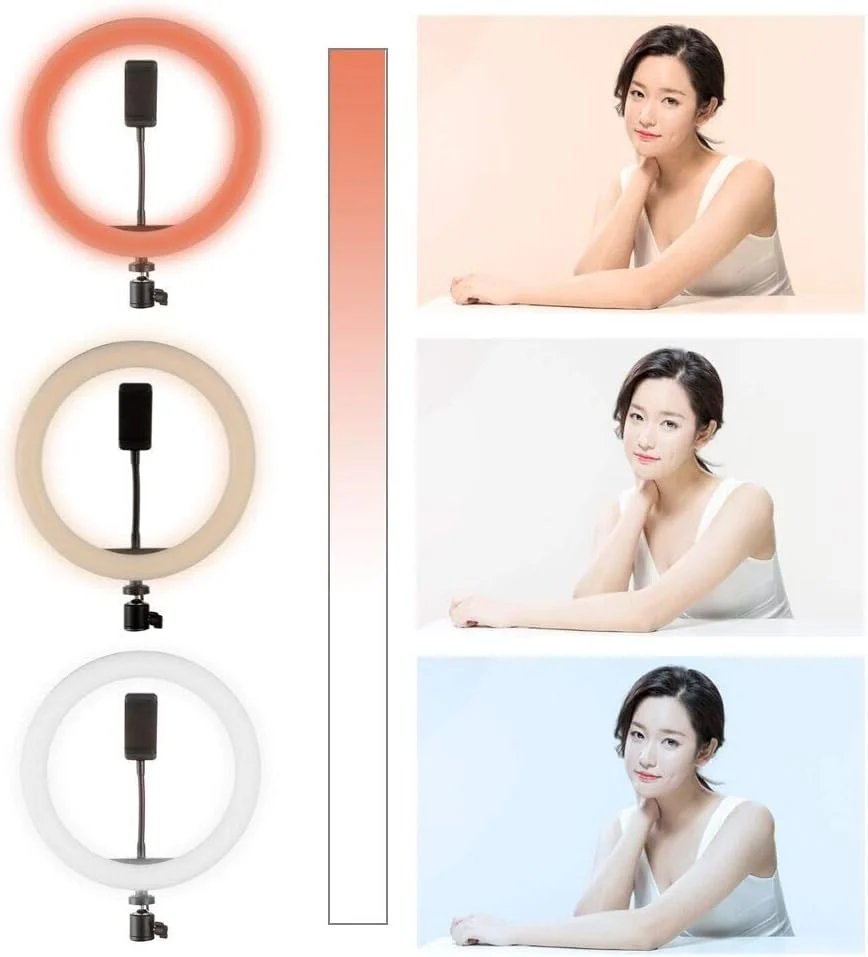 کیت نور حلقه ای FocusFoto: نور حلقه ای LED دیمر پذیر 10 اینچی، پایه نور برای دوربین، تلفن هوشمند، یوتیوب، عکاسی سلفی کیت نور حلقه ای FocusFoto: نور حلقه ای LED دیمر پذیر 10 اینچی، پایه نور برای دوربین، تلفن هوشمند، یوتیوب، عکاسی سلفی