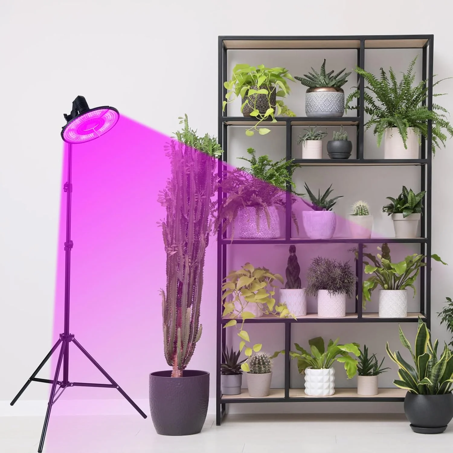 پایه نورپردازی هلمی برای عکاسی، نور زنده و رشد گیاه، دارای سرپیچ E27