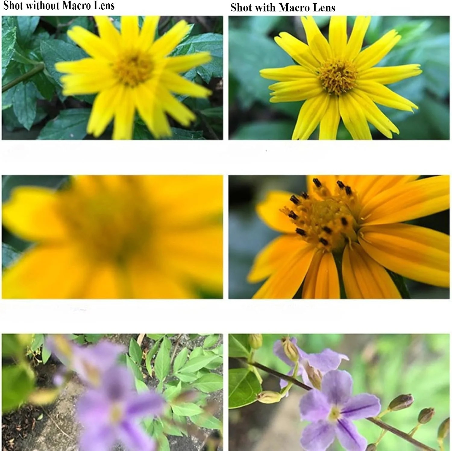 لنز گیمبال دوربین برای DJI Osmo Pocket 3: لنزهای ماکرو، میدان دید گسترده، تله فوتو و آنامورفیک