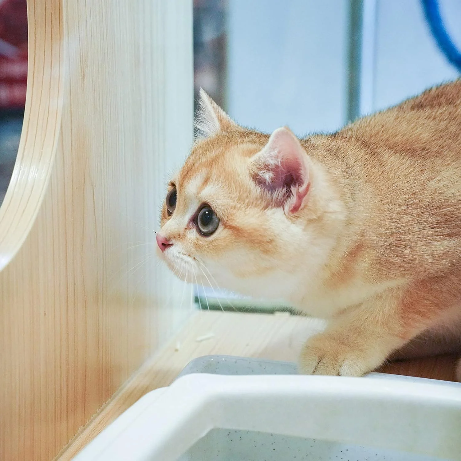 لنز اولترا-ماکرو 60mm F2.8 پرگیر با بزرگنمایی 2X سازگار با دوربین های نیکون Z-mount مدل های Z6 Z7 Z50