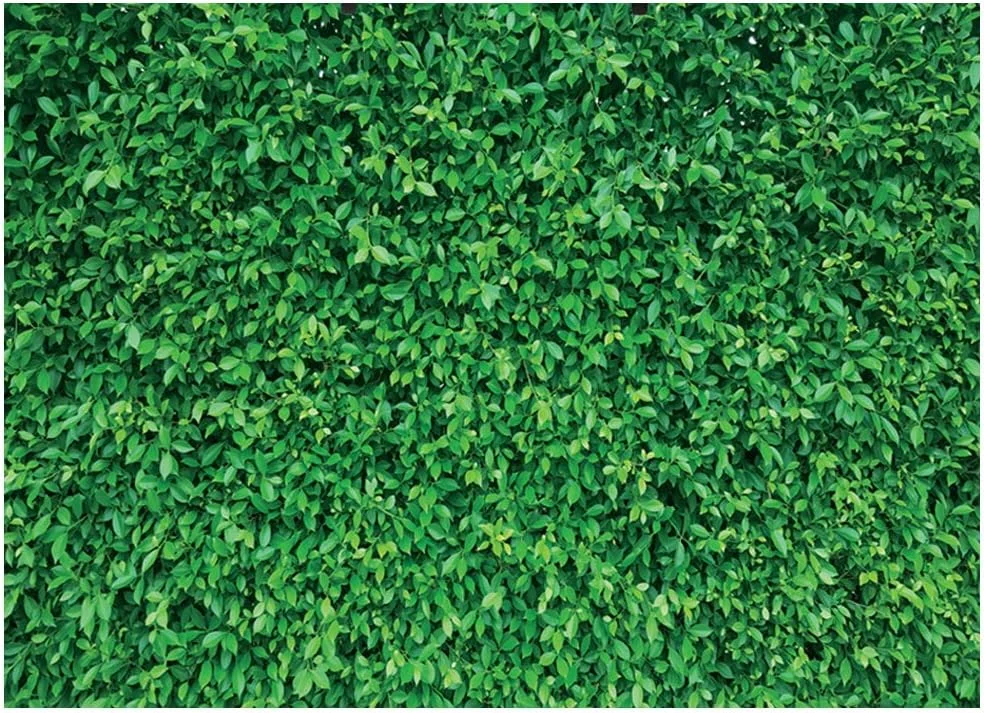 پس زمینه عکاسی برگ های سبز فانیتو، 1.5 در 2.1 متر، پس زمینه طبیعت میکروفیبر، پس زمینه تولد برای جشن تولد، پس زمینه بدون درز غرفه عکس