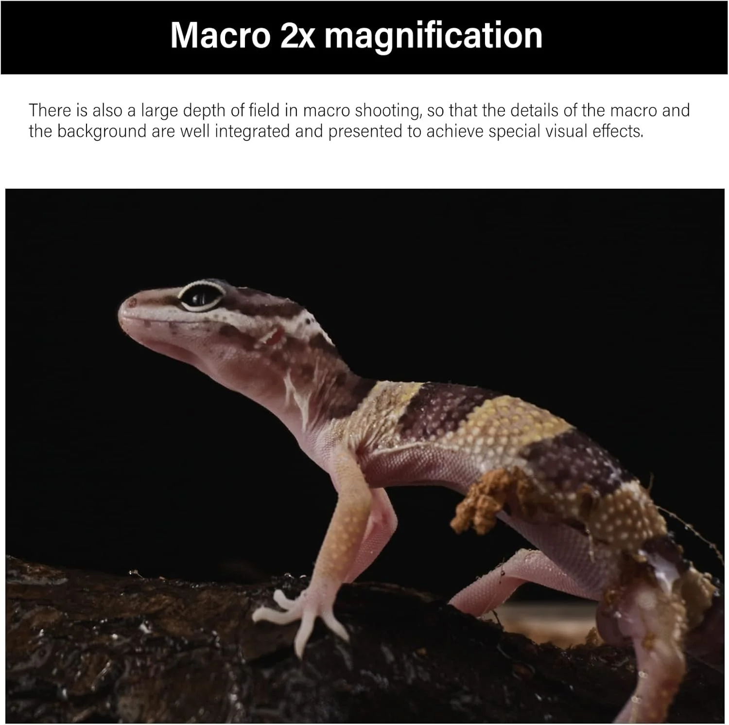 لنز ماکرو پروب 28 میلیمتری AstrHori F13 2X، لنز ویژه فول فریم با نور حلقوی داخلی برای دوربینهای بدون آینه سونی A7، A7R، A7S، A9، A6000، A6300، A6500، A6600 و غیره (مشکی) لنز ماکرو پروب 28 میلیمتری AstrHori F13 2X، لنز ویژه فول فریم با نور حلقوی داخلی برای دوربینهای بدون آینه سونی A7، A7R، A7S، A9، A6000، A6300، A6500، A6600 و غیره (مشکی)