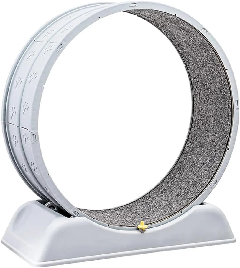 چرخ ورزش گربه، چرخ تردمیل ورزشی گربه سرپوشیده 80 سانتی متری با مسیر فرش شده، چرخ دویدن گربه برای ورزش روزانه و کاهش وزن چرخ ورزش گربه، چرخ تردمیل ورزشی گربه سرپوشیده 80 سانتی متری با مسیر فرش شده، چرخ دویدن گربه برای ورزش روزانه و کاهش وزن