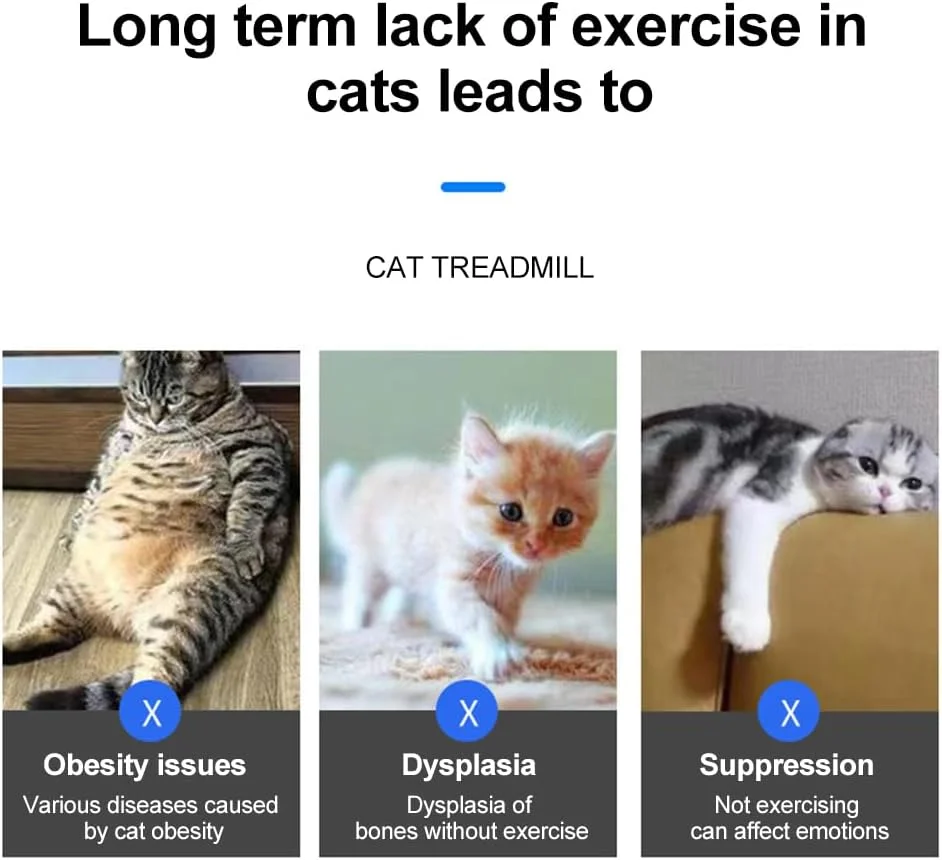 چرخ ورزش گربه، چرخ تردمیل ورزشی گربه سرپوشیده 80 سانتی متری با مسیر فرش شده، چرخ دویدن گربه برای ورزش روزانه و کاهش وزن چرخ ورزش گربه، چرخ تردمیل ورزشی گربه سرپوشیده 80 سانتی متری با مسیر فرش شده، چرخ دویدن گربه برای ورزش روزانه و کاهش وزن