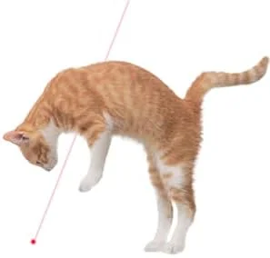 اسباب بازی لیزری گربه، اسباب بازی تعاملی با نشانگر نور ال ای دی نقطه قرمز، برد بلند 3 حالت پروژکتور برای تعامل بچه گربه، نشانگر شارژ USB (1 عدد) اسباب بازی لیزری گربه، اسباب بازی تعاملی با نشانگر نور ال ای دی نقطه قرمز، برد بلند 3 حالت پروژکتور برای تعامل بچه گربه، نشانگر شارژ USB (1 عدد)