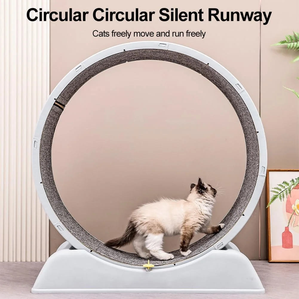 چرخ ورزش گربه، چرخ تردمیل ورزشی گربه سرپوشیده 80 سانتی متری با مسیر فرش شده، چرخ دویدن گربه برای ورزش روزانه و کاهش وزن چرخ ورزش گربه، چرخ تردمیل ورزشی گربه سرپوشیده 80 سانتی متری با مسیر فرش شده، چرخ دویدن گربه برای ورزش روزانه و کاهش وزن