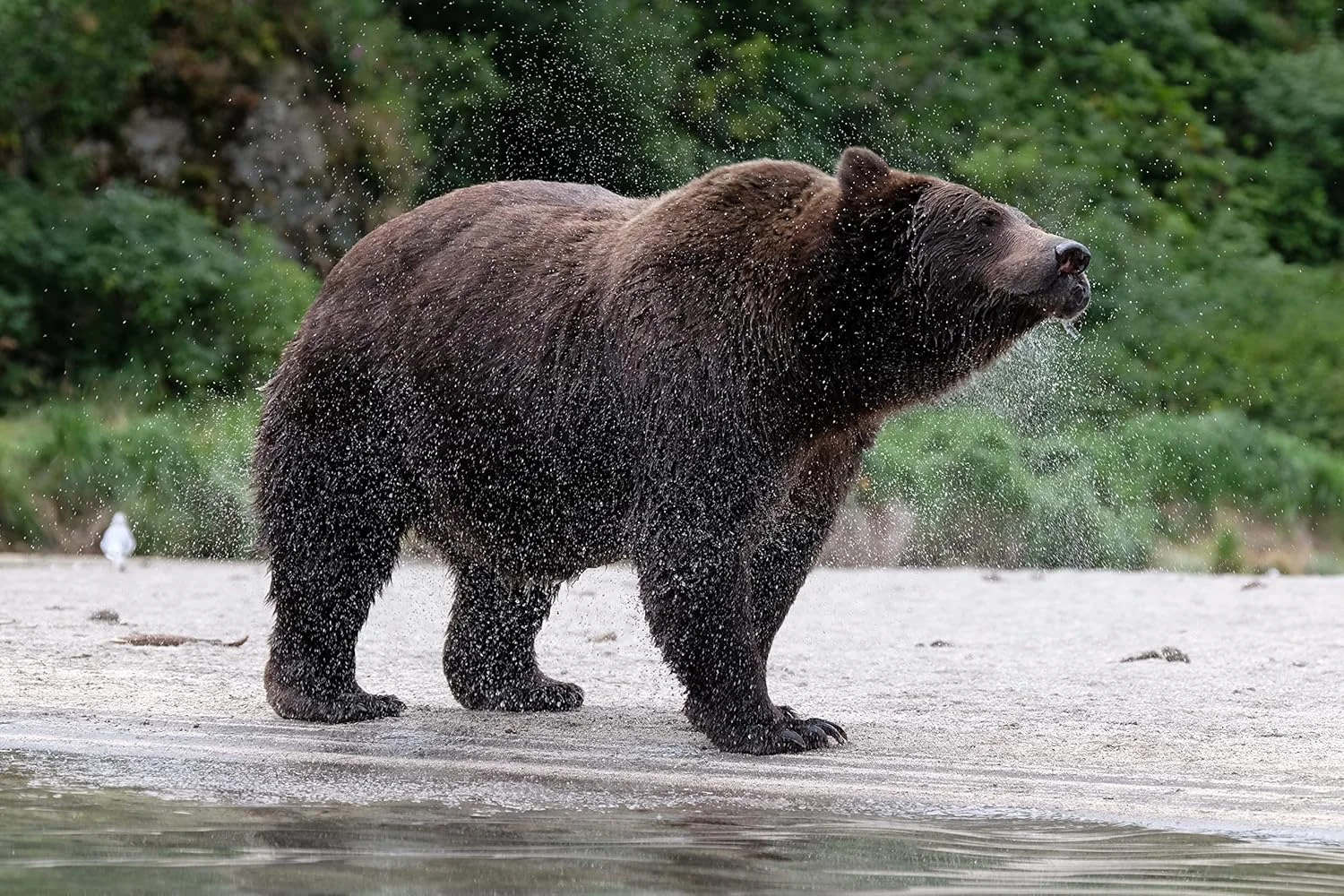 لنز دوربین فوجی XF 1.4X TC WR SLR لنز دوربین فوجی XF 1.4X TC WR SLR