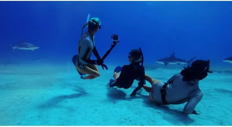 محافظ بدنه دوربین GoPro (مناسب برای HERO13 Black/HERO12 Black/HERO11 Black/HERO10 Black/HERO9 Black) - لوازم جانبی رسمی GoPro