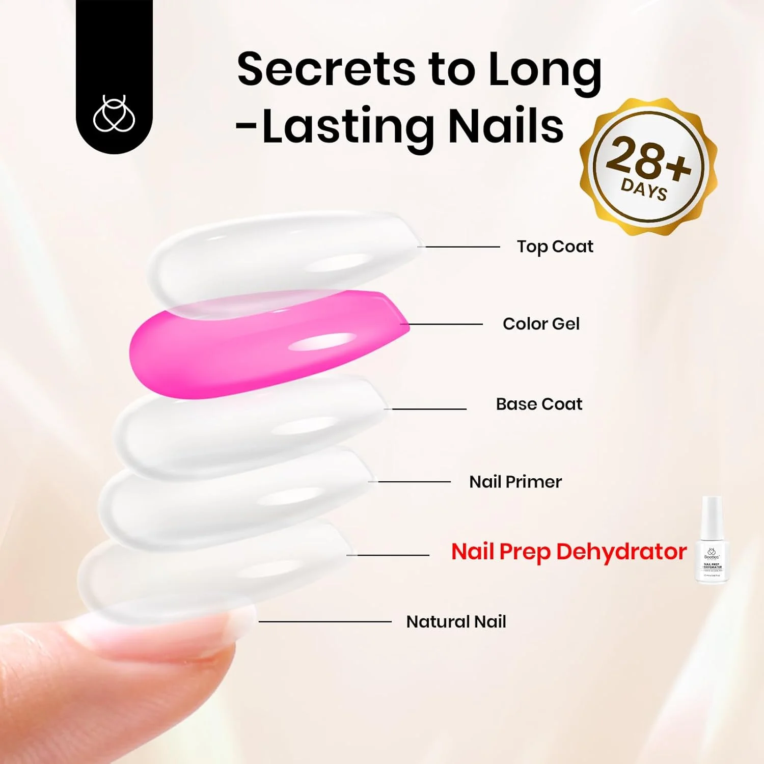 محلول خشک کننده ناخن Beetles 20ml: آماده ساز حرفه ای ناخن، بدون اسید و Hema، پرایمر پیوند دهنده برای لاک اکریلیک و ژل محلول خشک کننده ناخن Beetles 20ml: آماده ساز حرفه ای ناخن، بدون اسید و Hema، پرایمر پیوند دهنده برای لاک اکریلیک و ژل