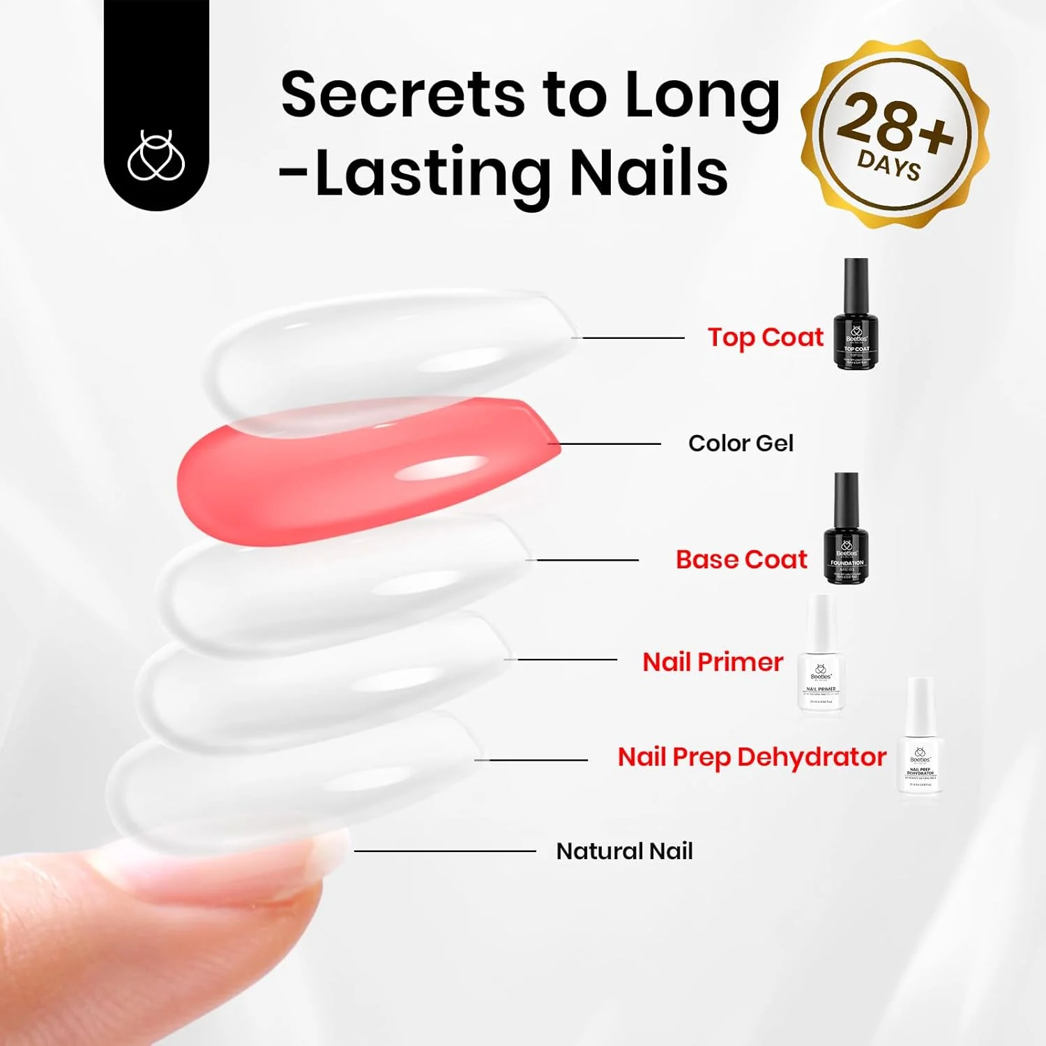 مجموعه ۴ عددی ژل بیس و تاپ کت Beetles، همراه با دهیدراتور و پرایمر ناخن ۲۰ میلی لیتری، آمادهسازی حرفهای ناخن، بدون اسید و Hema، ست پرایمر باند دهیدراته برای مانیکور ناخن اکریلیک، هدیه برای خانمها مجموعه ۴ عددی ژل بیس و تاپ کت Beetles، همراه با دهیدراتور و پرایمر ناخن ۲۰ میلی لیتری، آمادهسازی حرفهای ناخن، بدون اسید و Hema، ست پرایمر باند دهیدراته برای مانیکور ناخن اکریلیک، هدیه برای خانمها