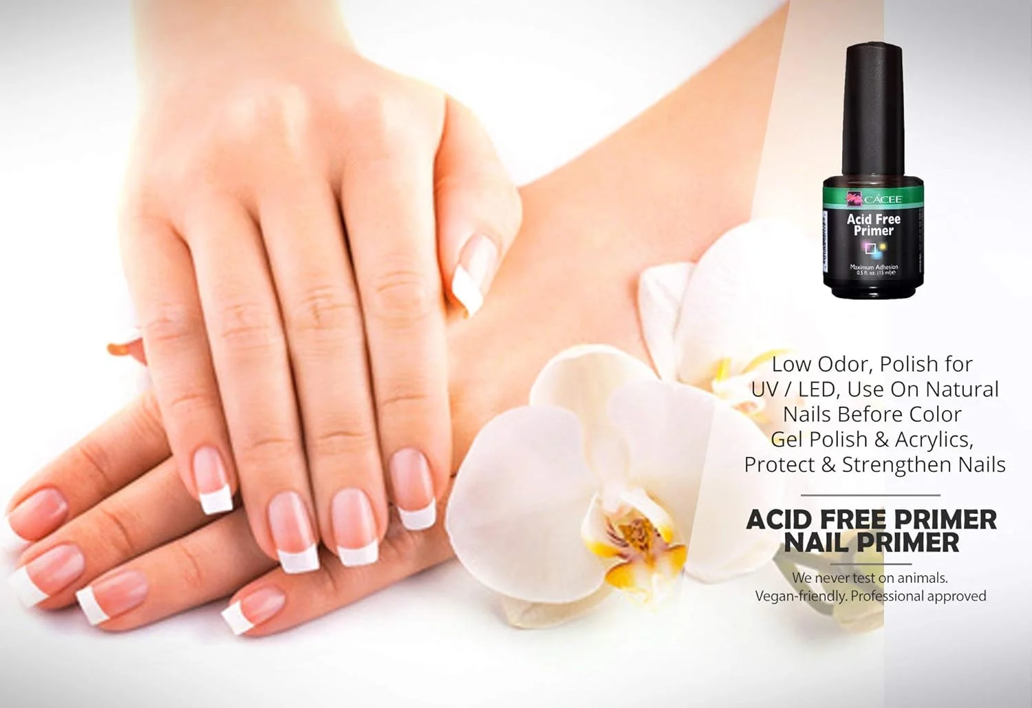 پرایمر ناخن Cacee برای ناخن های اکریلیک، بدون اسید و بدون سوزش 15 میلی لیتر، کم بو، لاک برای UV/LED، استفاده روی ناخن های طبیعی قبل از لاک ژل رنگی و اکریلیک، محافظت و تقویت پرایمر ناخن Cacee برای ناخن های اکریلیک، بدون اسید و بدون سوزش 15 میلی لیتر، کم بو، لاک برای UV/LED، استفاده روی ناخن های طبیعی قبل از لاک ژل رنگی و اکریلیک، محافظت و تقویت