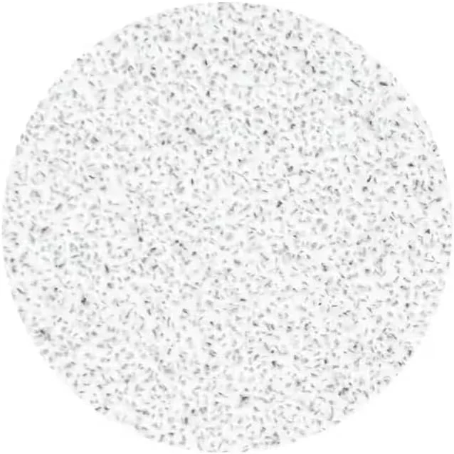 پدهای سمباده سفید استالکس برای دیسک پدیکور Pododisc Pro L درجه زبری 80، بسته 50 عددی، مناسب پدیکور پا و اسپا پدهای سمباده سفید استالکس برای دیسک پدیکور Pododisc Pro L درجه زبری 80، بسته 50 عددی، مناسب پدیکور پا و اسپا