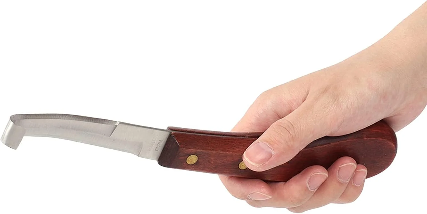 سوهان فلزی حرفه ای برای نعل اسب