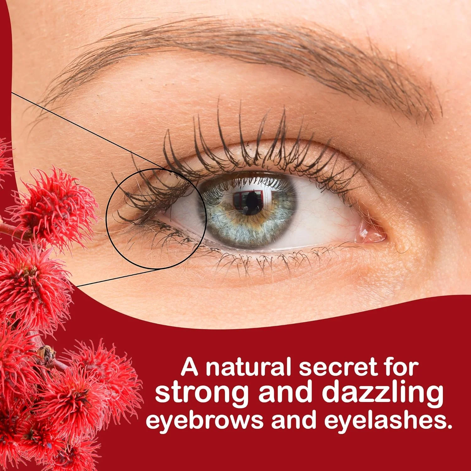 روغن کرچک ارگانیک - موهای درخشان و قوی، مژه و ابروهای پرپشت، ریش پرپشت، پوست عمیقا آبرسانی شده و جوان، ناخن های تقویت شده، بافت متراکم، 100% خالص، پرس سرد 1000 میلی لیتر روغن کرچک ارگانیک - موهای درخشان و قوی، مژه و ابروهای پرپشت، ریش پرپشت، پوست عمیقا آبرسانی شده و جوان، ناخن های تقویت شده، بافت متراکم، 100% خالص، پرس سرد 1000 میلی لیتر