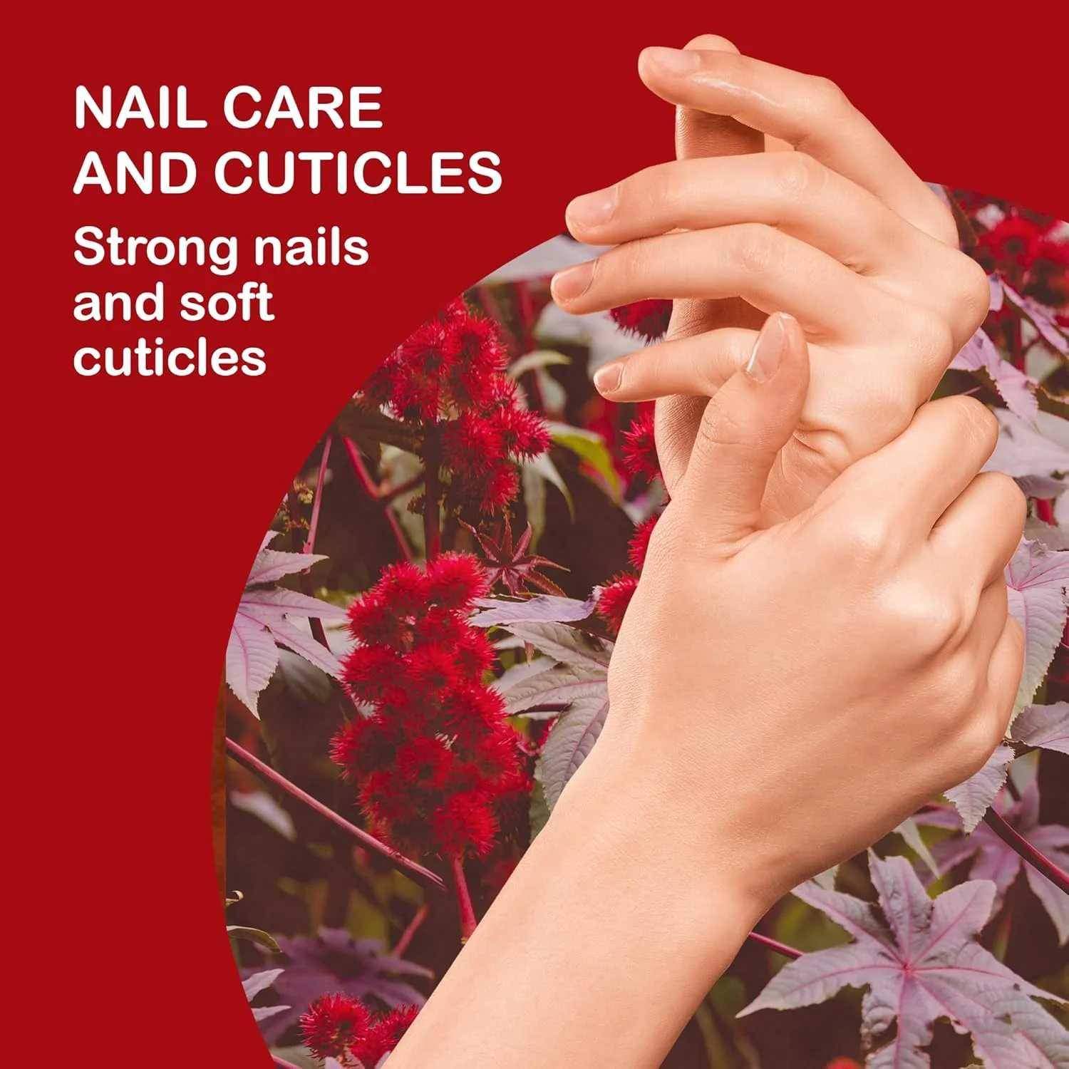 روغن کرچک ارگانیک - موهای درخشان و قوی، مژه و ابروهای پرپشت، ریش پرپشت، پوست عمیقا آبرسانی شده و جوان، ناخن های تقویت شده، بافت متراکم، 100% خالص، پرس سرد 1000 میلی لیتر روغن کرچک ارگانیک - موهای درخشان و قوی، مژه و ابروهای پرپشت، ریش پرپشت، پوست عمیقا آبرسانی شده و جوان، ناخن های تقویت شده، بافت متراکم، 100% خالص، پرس سرد 1000 میلی لیتر