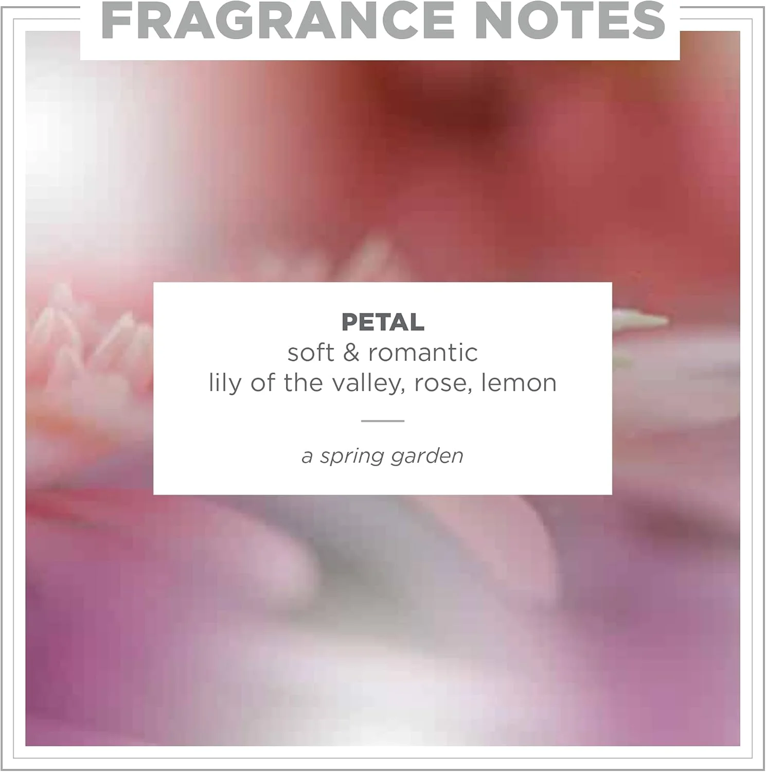 بالم ترمیم کننده و مرطوب کننده پوست زنتس برای دست و پا، حاوی شی باتر ارگانیک خالص و روغن نارگیل ارگانیک، 37.5 میلی لیتر (گلبرگ)