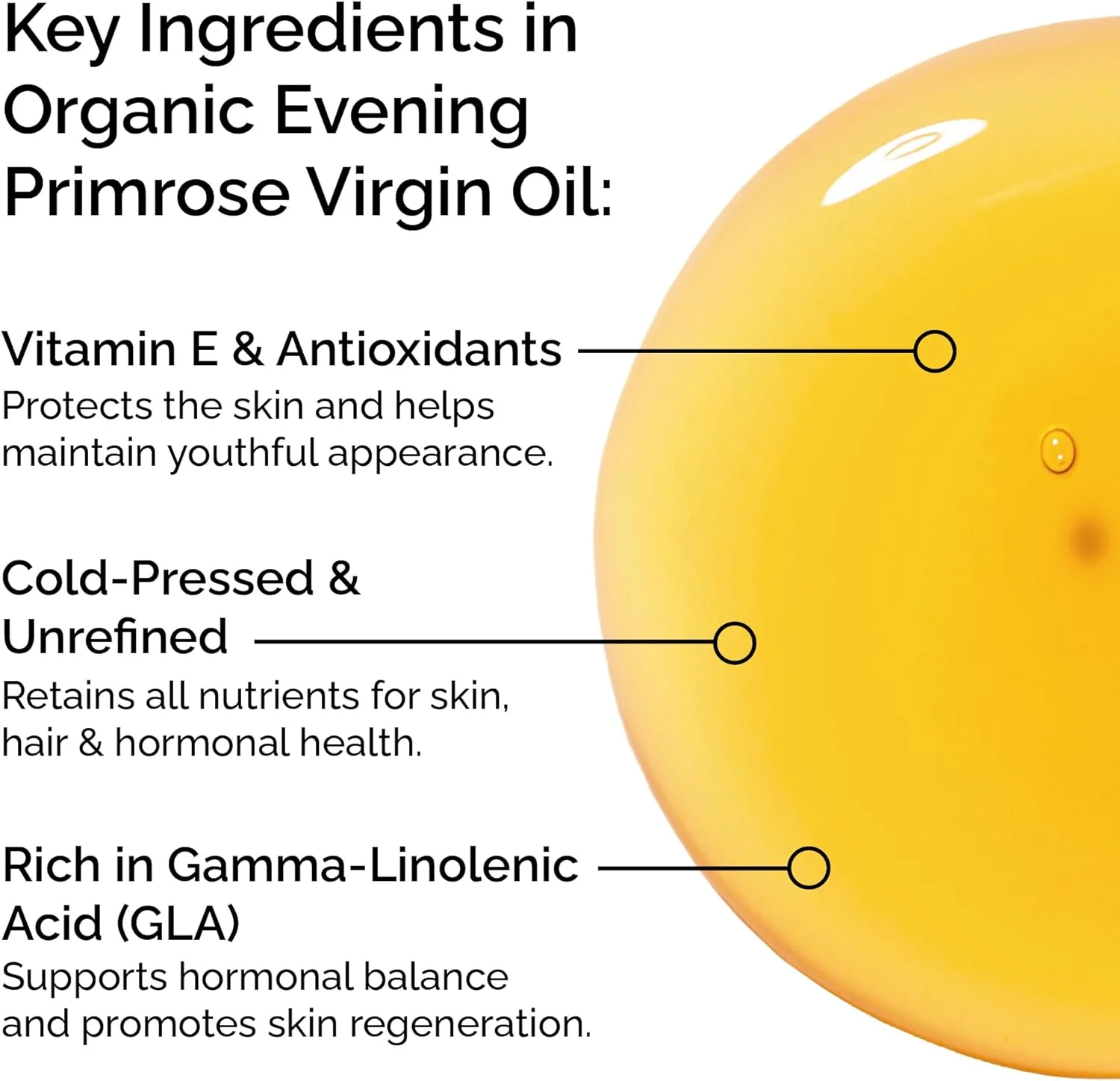 روغن گل مغربی 20 میلی لیتر - 100% ارگانیک، پرس سرد - 100% خالص، بکر، تصفیه نشده و بدون مواد شیمیایی - مرطوب کننده عالی صورت برای کنترل چربی - برای موهای خشک، موهای شکننده، پوست بالغ، پوست حساس