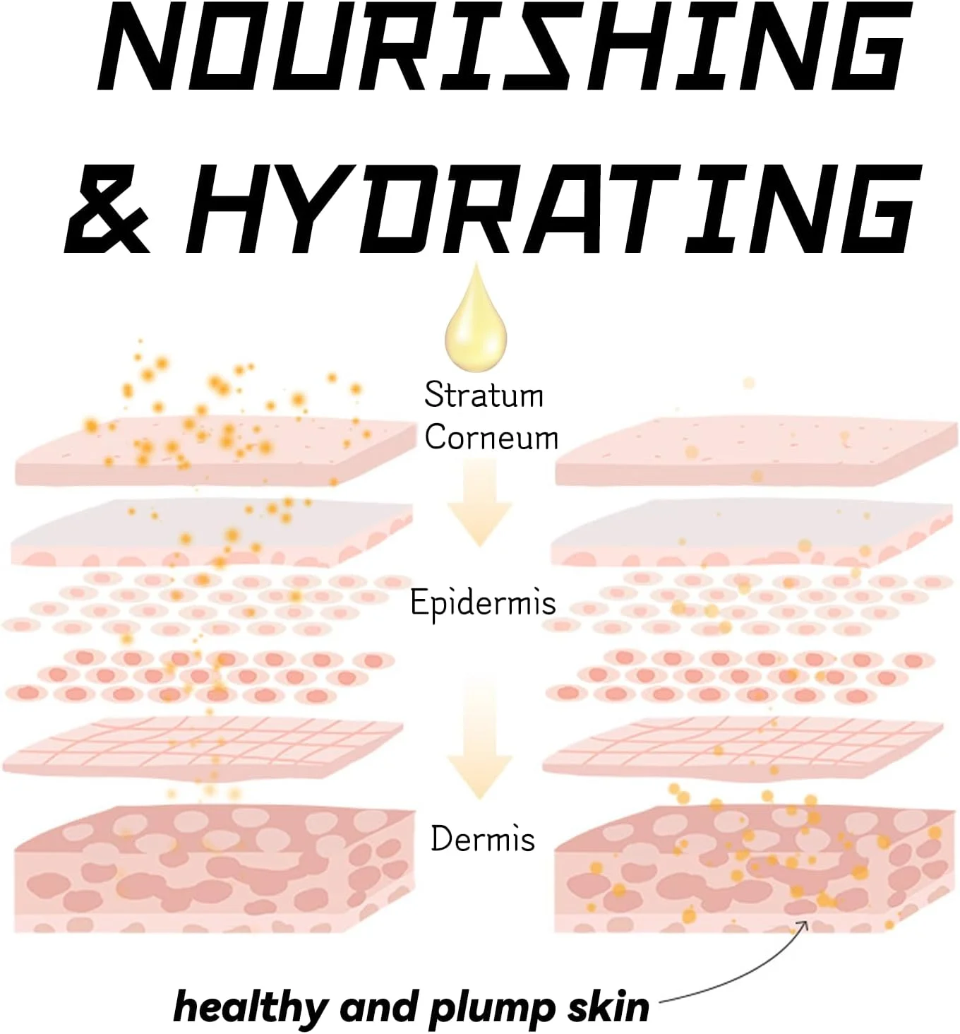 روغن کوتیکول غنی شده با ویتامین ای، شیر و عسل 15 میلی لیتر، تغذیه کننده عمیق، آبرسان و تقویت کننده ناخن، مراقبت شبانه برای ترمیم ناخن های خشک و زبر، مناسب برای استفاده خانگی الیتزیا ETW387 روغن کوتیکول غنی شده با ویتامین ای، شیر و عسل 15 میلی لیتر، تغذیه کننده عمیق، آبرسان و تقویت کننده ناخن، مراقبت شبانه برای ترمیم ناخن های خشک و زبر، مناسب برای استفاده خانگی الیتزیا ETW387