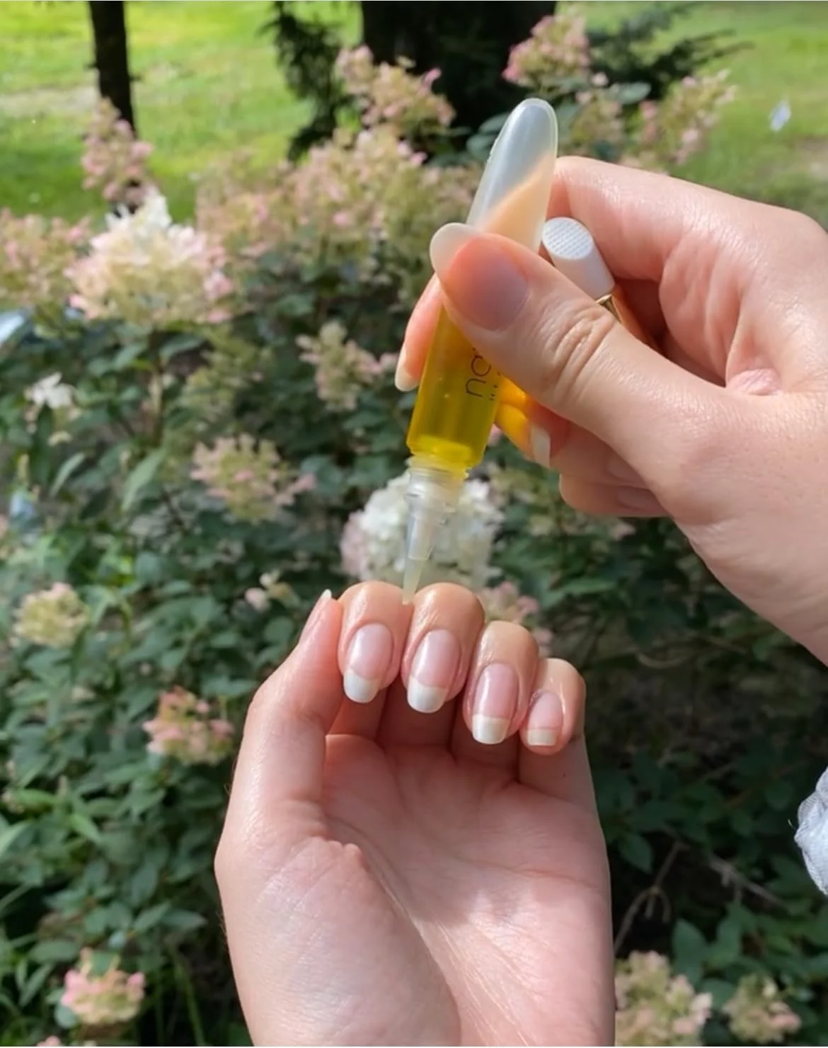 قلم فشاری خالی بلیس کیس، ایده آل برای نگهداری روغن ناخن و کوتیکول سیمپلی پیور قلم فشاری خالی بلیس کیس، ایده آل برای نگهداری روغن ناخن و کوتیکول سیمپلی پیور