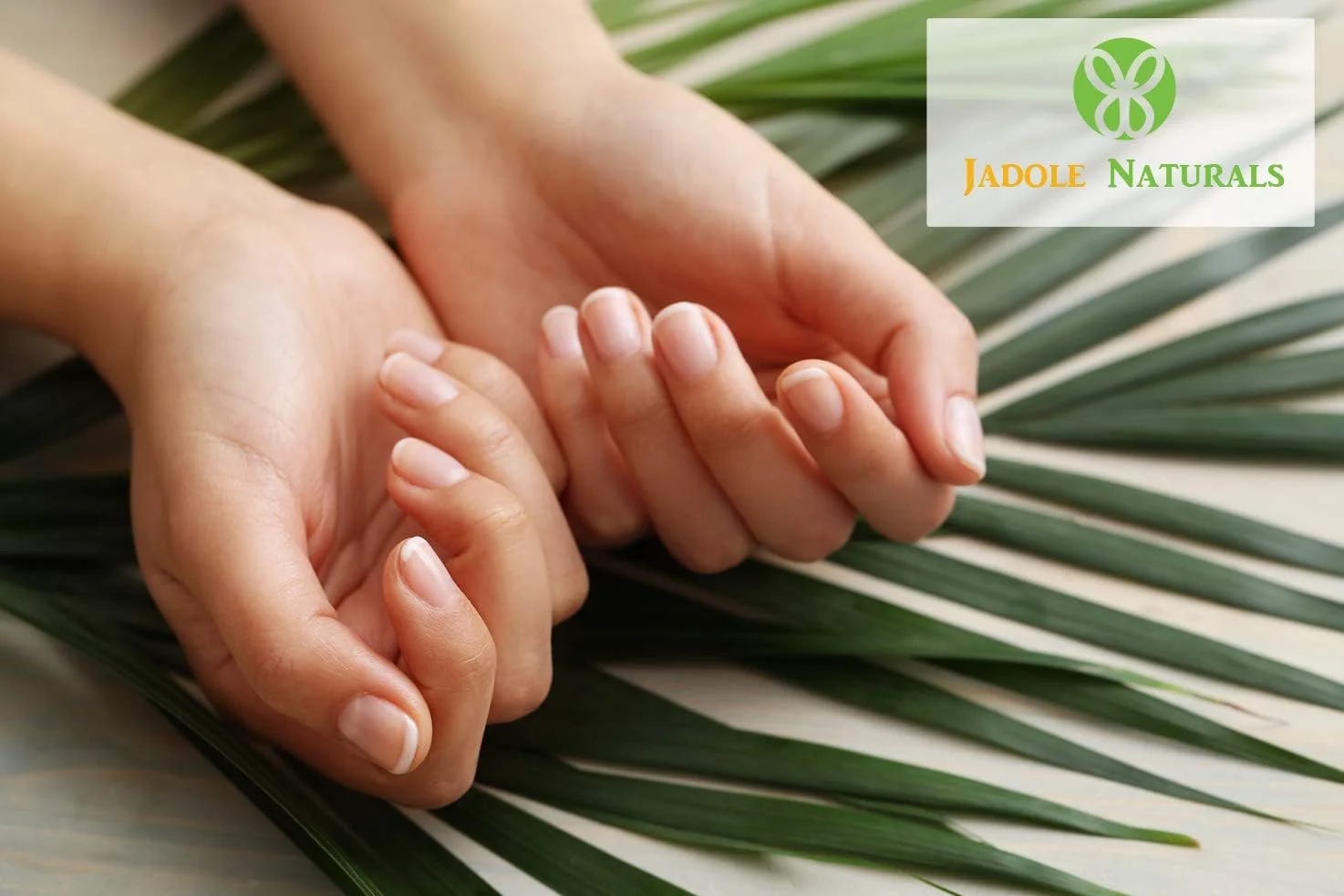 روغن درمان ناخن و کوتیکول جادول نچرالز 10 میلی لیتر، به طور موثر به کوتیکول ها کمک می کند و از ترک خوردن و پوسته پوسته شدن ناخن جلوگیری می کند. روغن درمان ناخن و کوتیکول جادول نچرالز 10 میلی لیتر، به طور موثر به کوتیکول ها کمک می کند و از ترک خوردن و پوسته پوسته شدن ناخن جلوگیری می کند.