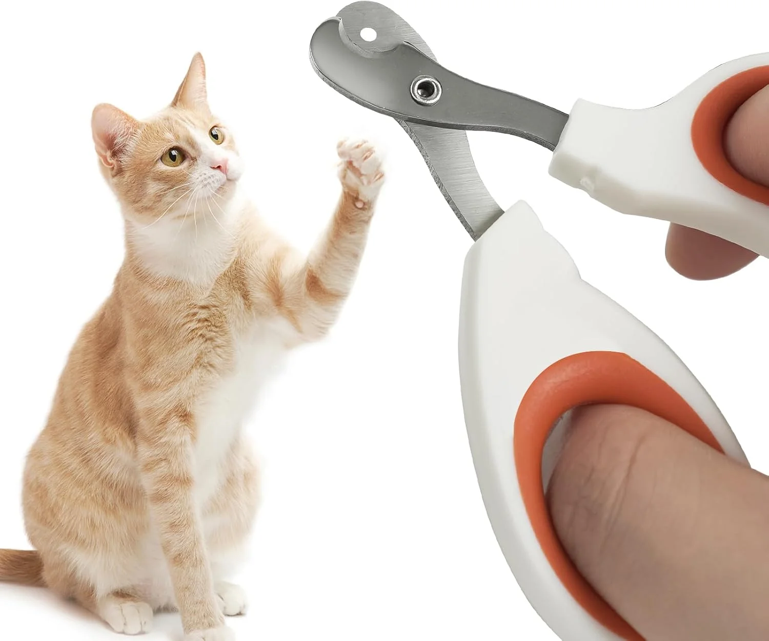 ناخن گیر گربه با سوراخ برش دایره ای - جلوگیری از کوتاه کردن بیش از حد ناخن حیوانات خانگی - تیغه زاویه دار تیز، ست پیرایش پنجه حرفه ای برای خانواده های مبتدی (نارنجی)