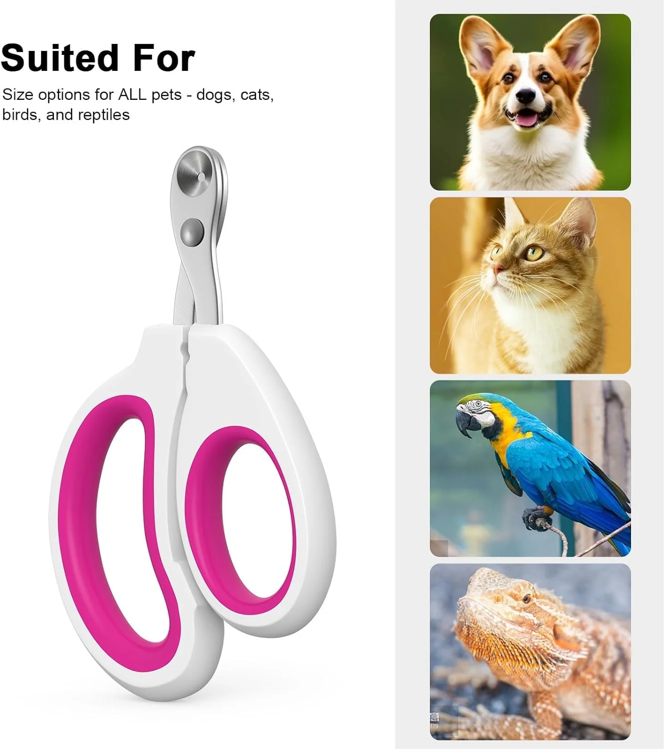 ناخن گیر حرفه ای حیوانات خانگی BIGTHREE، مناسب برای حیوانات کوچک مانند گربه، پرنده، همستر، خرگوش، جوجه تیغی، راسو، چینچیلا، خوکچه هندی و غیره. ناخن گیر حرفه ای حیوانات خانگی BIGTHREE، مناسب برای حیوانات کوچک مانند گربه، پرنده، همستر، خرگوش، جوجه تیغی، راسو، چینچیلا، خوکچه هندی و غیره.