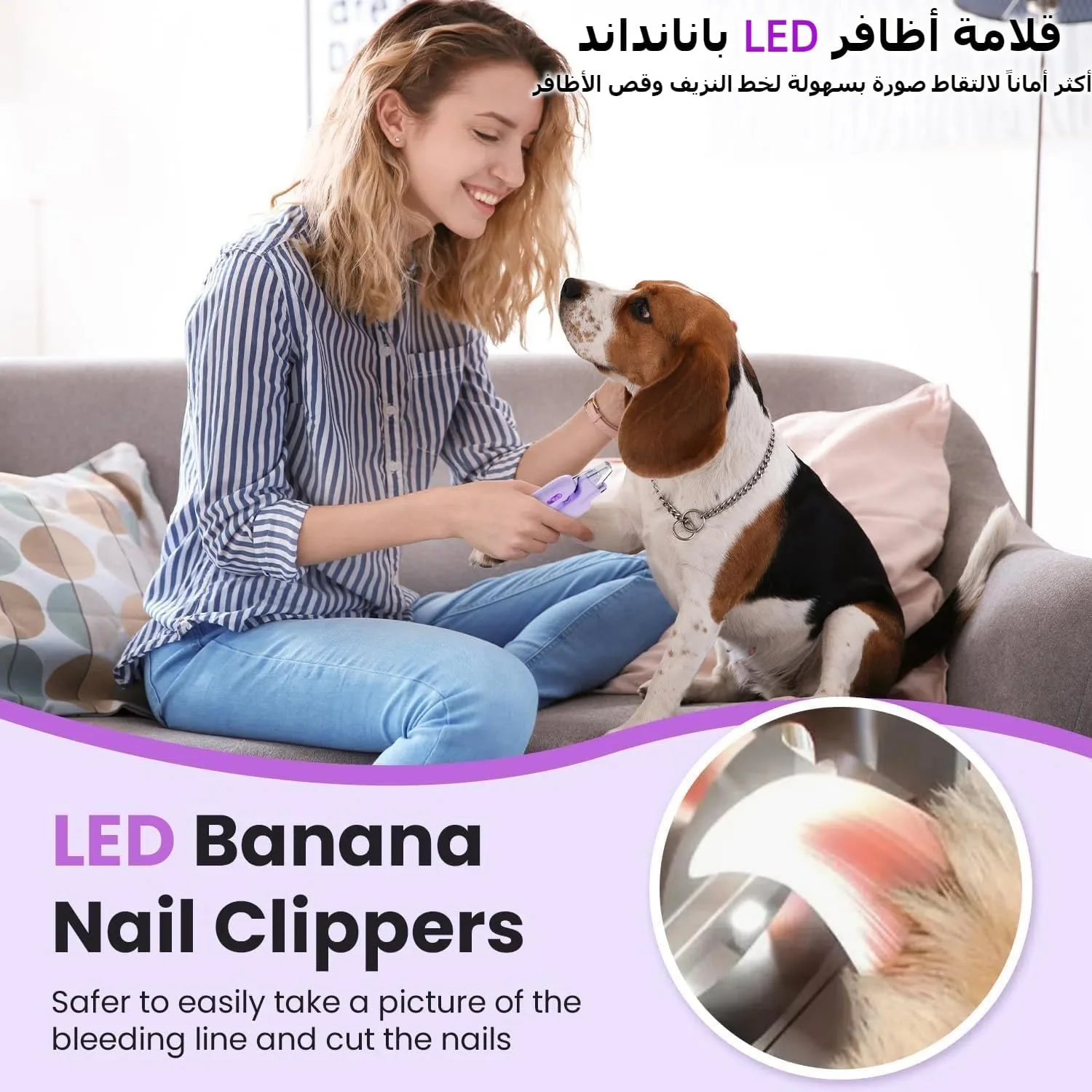 ناخن گیر سگ و گربه، ناخن گیر سگ با 2 چراغ LED، محافظ ایمنی قوی و سوهان ناخن برای جلوگیری از کوتاه کردن بیش از حد، به راحتی رگ خونی را روشن می کند، مناسب برای سگ ها و گربه های بزرگ تا متوسط ناخن گیر سگ و گربه، ناخن گیر سگ با 2 چراغ LED، محافظ ایمنی قوی و سوهان ناخن برای جلوگیری از کوتاه کردن بیش از حد، به راحتی رگ خونی را روشن می کند، مناسب برای سگ ها و گربه های بزرگ تا متوسط